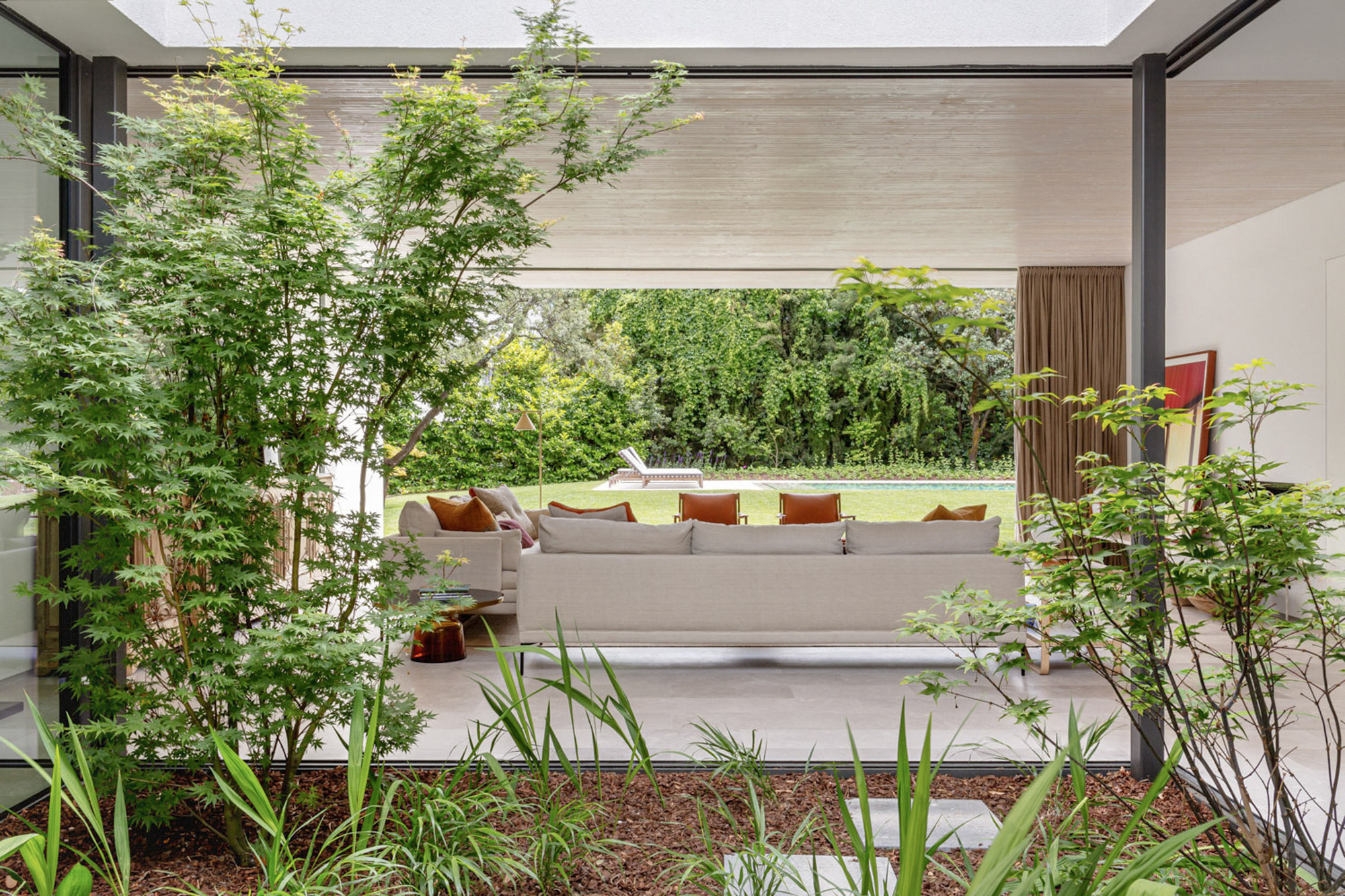 Covered terrace sofa seen through a courtyard of Japanese maples and mulch, with a green lawn and pool beyond