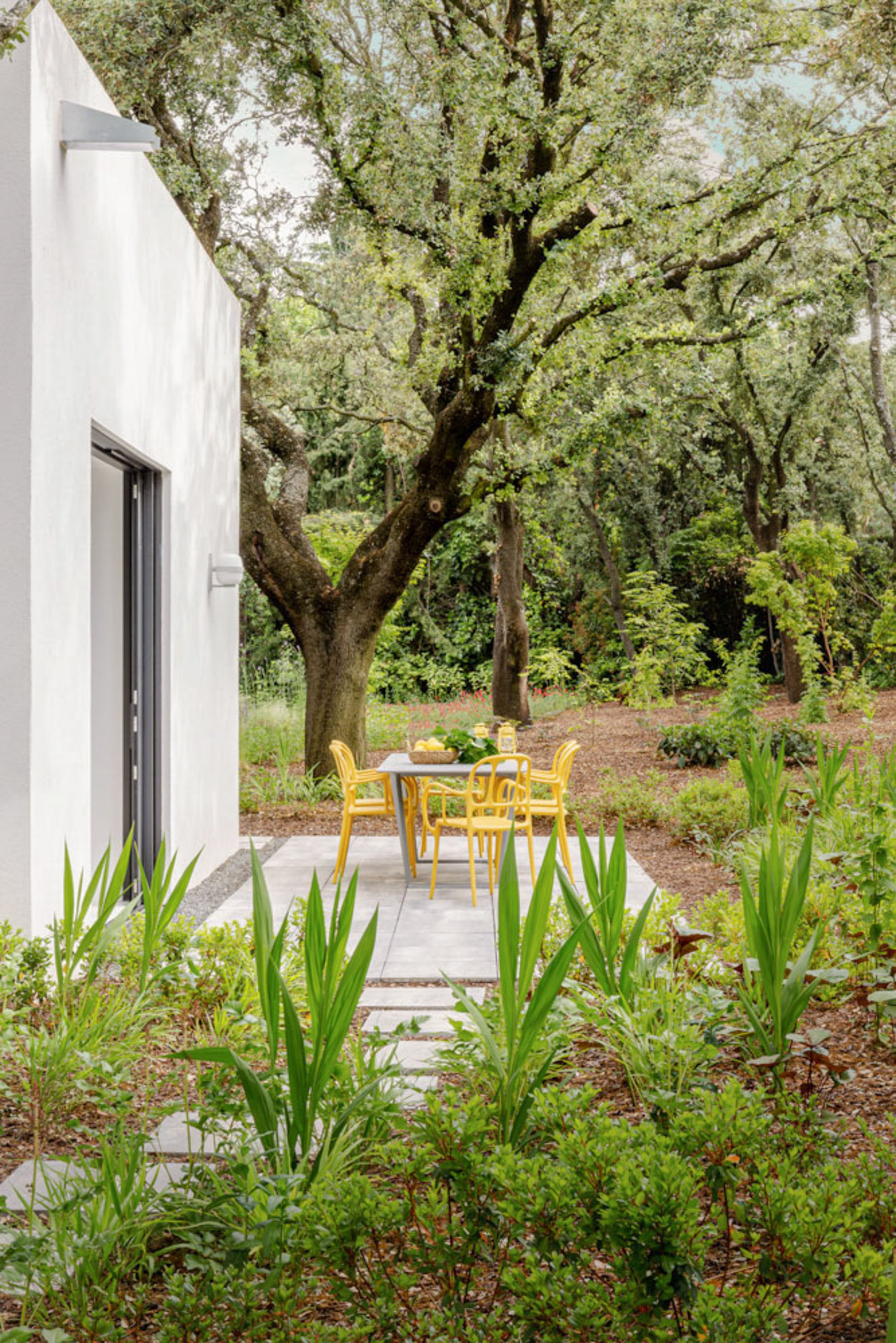 Paved garden patio with yellow chairs and table beside a white wall, framed by an old oak and tall green leaves