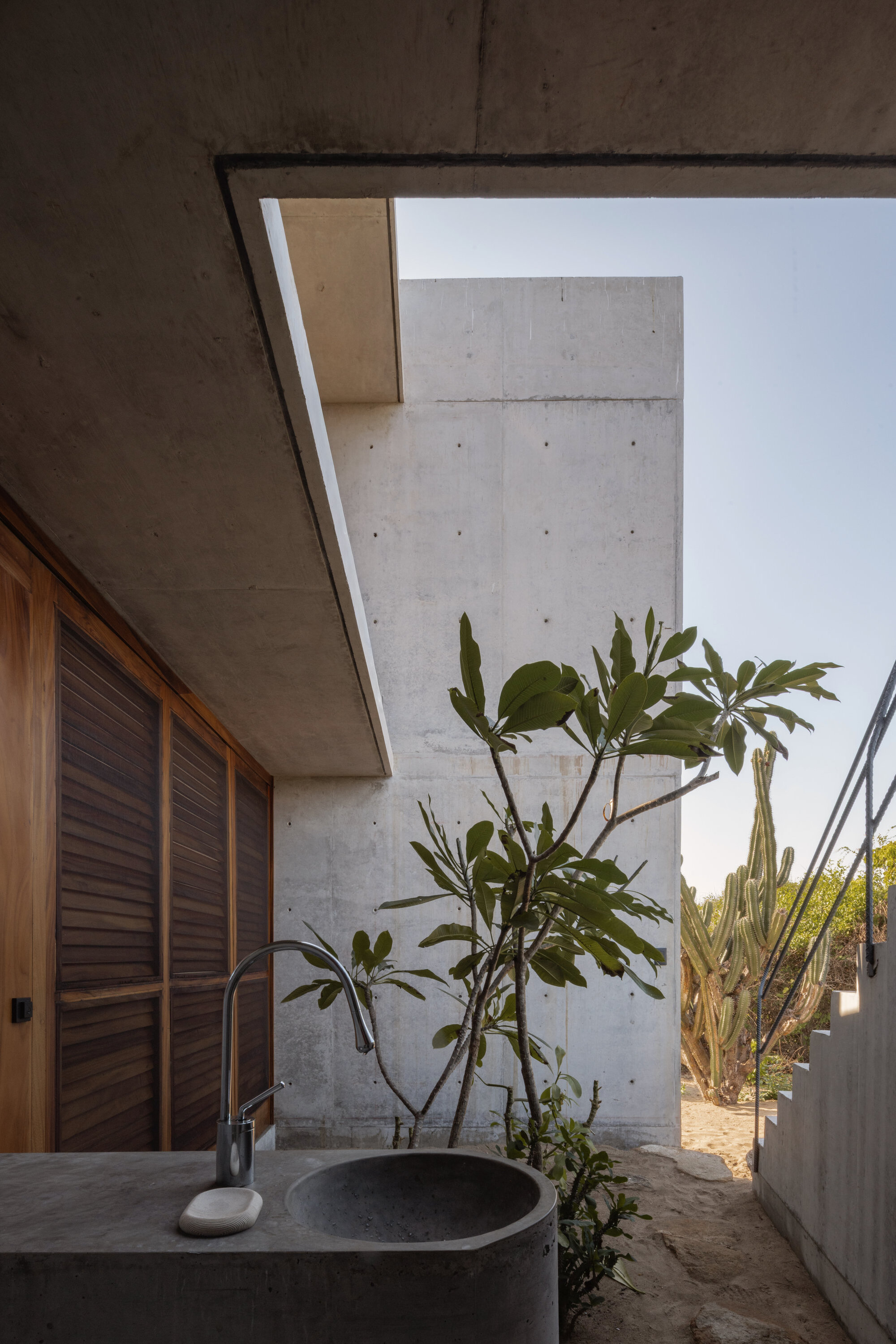 Concrete washbasin with a frangipani tree in front of a blank concrete wall, with columnar cactus and stairs under clear sky