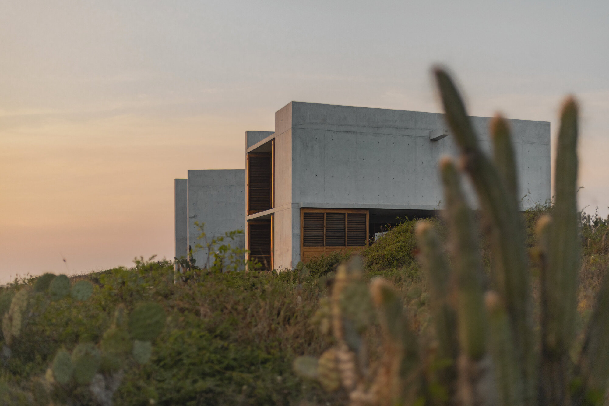 Board-formed concrete volumes with timber louvered shutters seen past tall cacti in warm dusk light