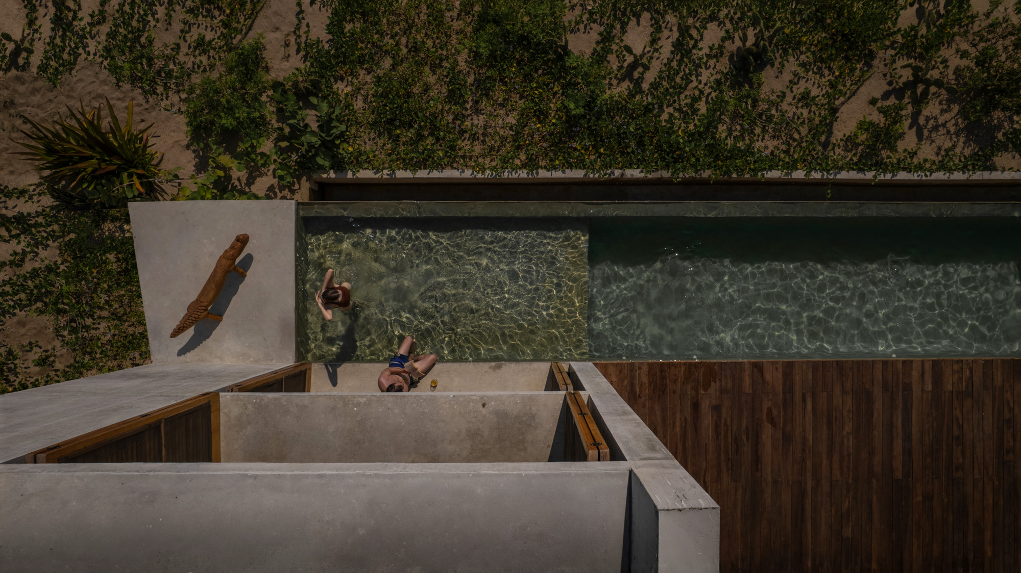 Top-down view of a narrow pool with two swimmers, a lizard sculpture on the concrete wall and a timber deck