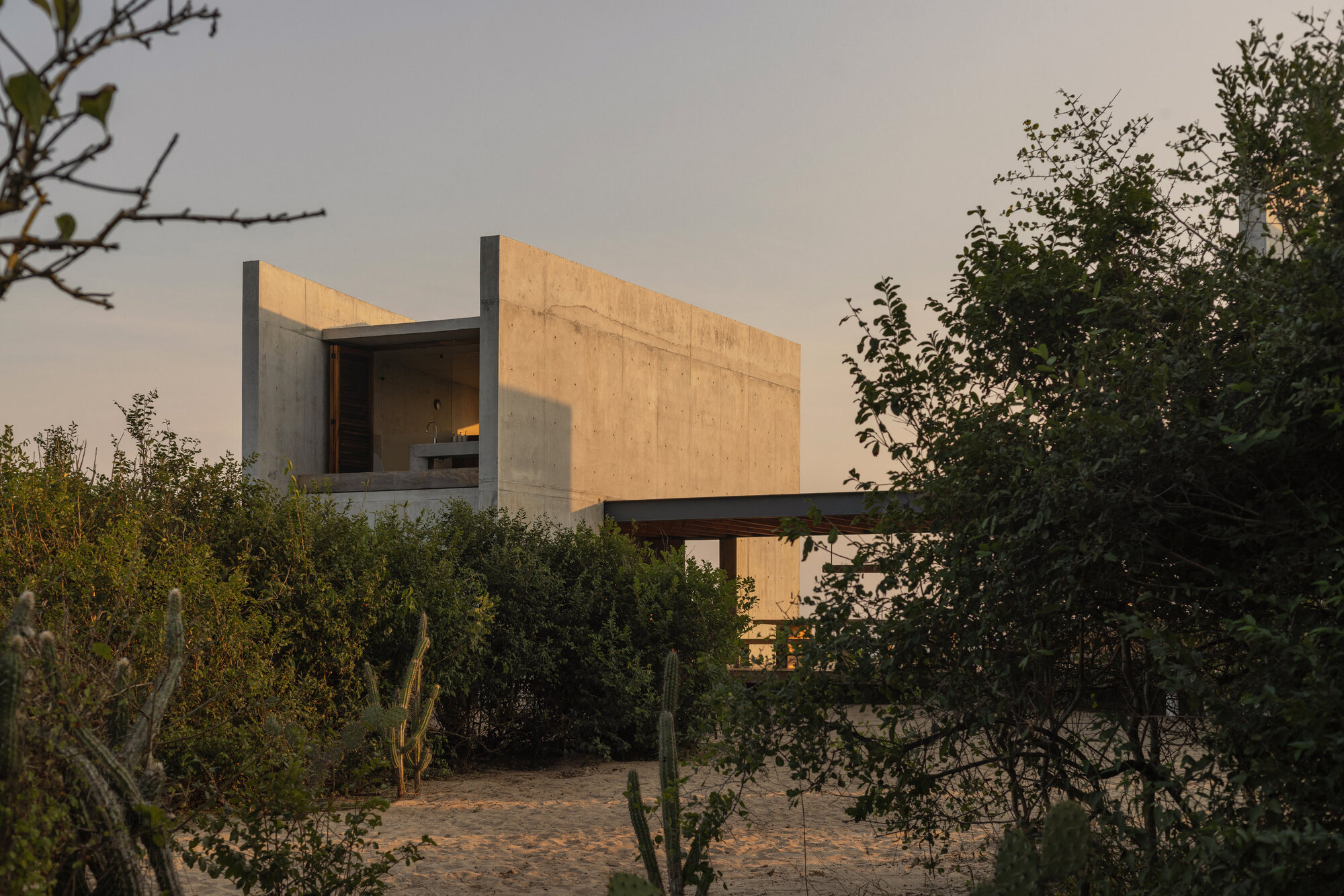 Concrete box volume with an open upper room and timber pergola, half hidden by coastal shrubs and cacti at sunset