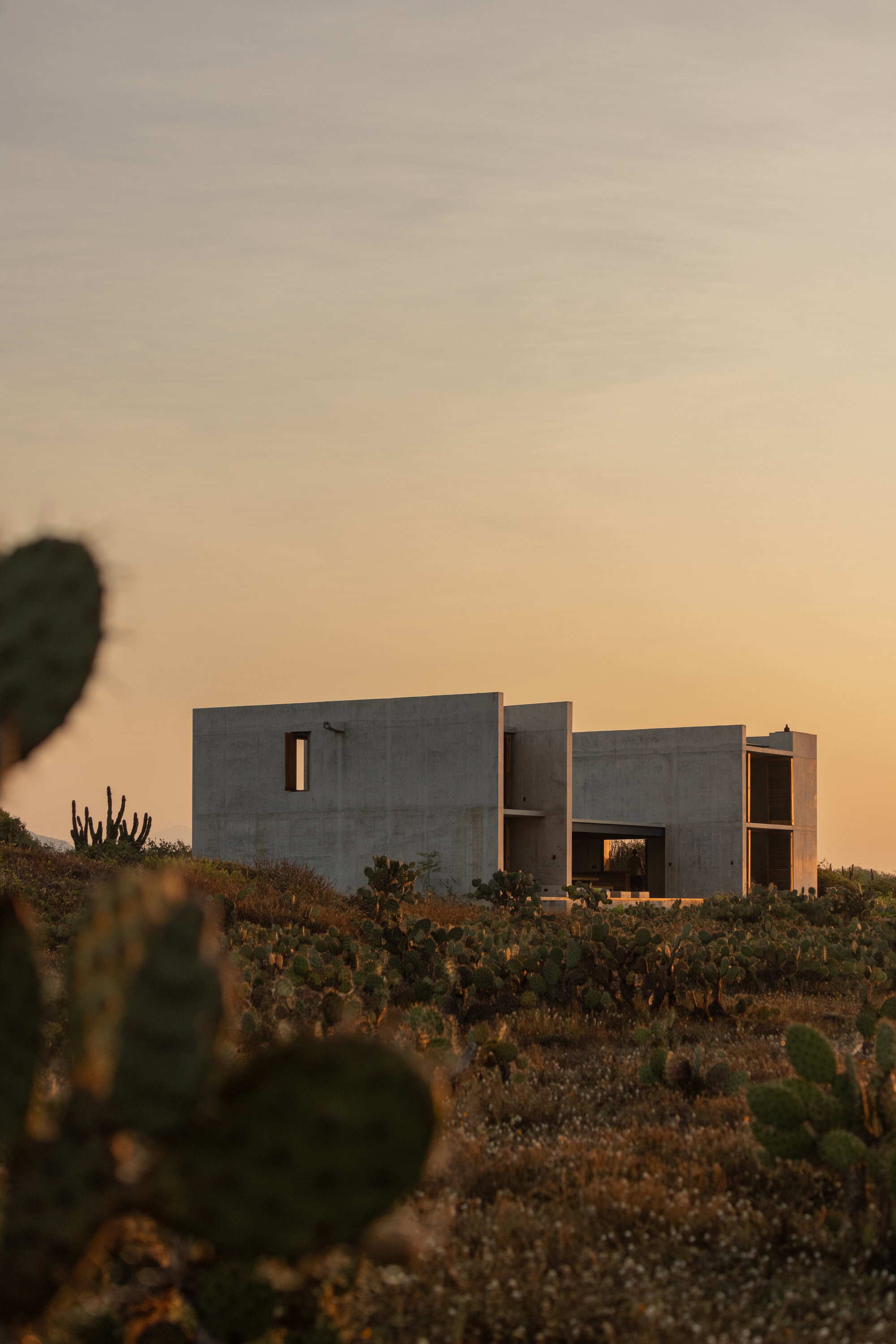 Concrete volumes with a small square window rising above cactus-covered scrub, framed by a prickly pear pad against an orange sunset sky