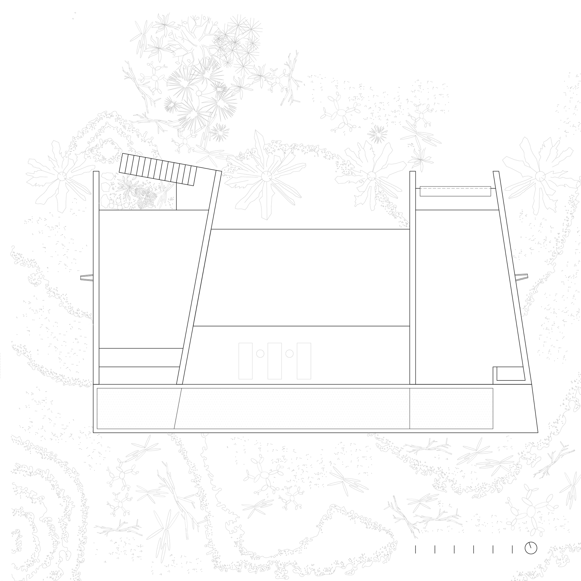 Plan drawing of a long rectangular house with angled walls, a rooftop stair and a central void, set among sketched shrubs and palms