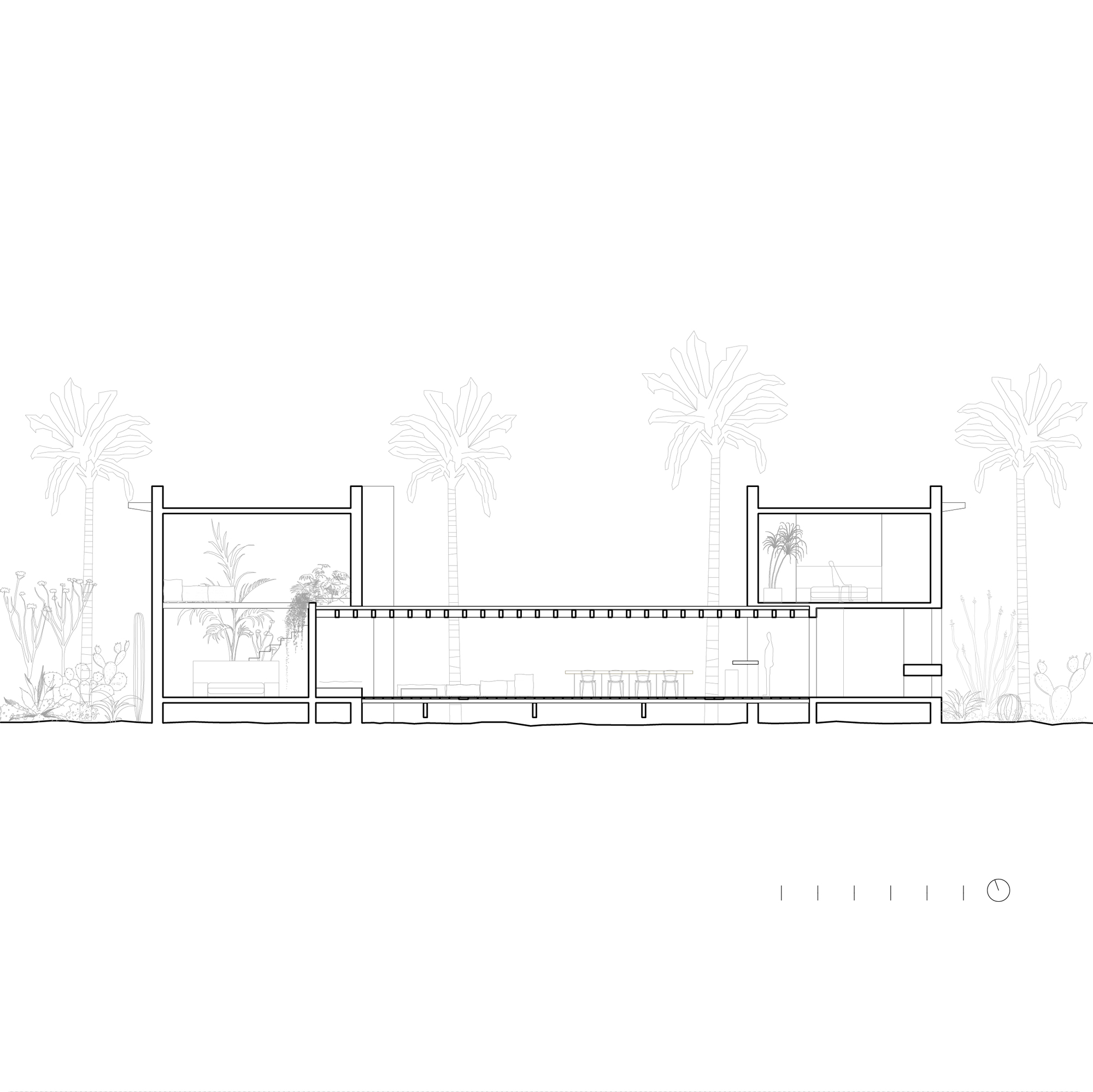 Section drawing cutting through two flanking volumes and a long central pavilion with a dining table, framed by palm trees and cacti