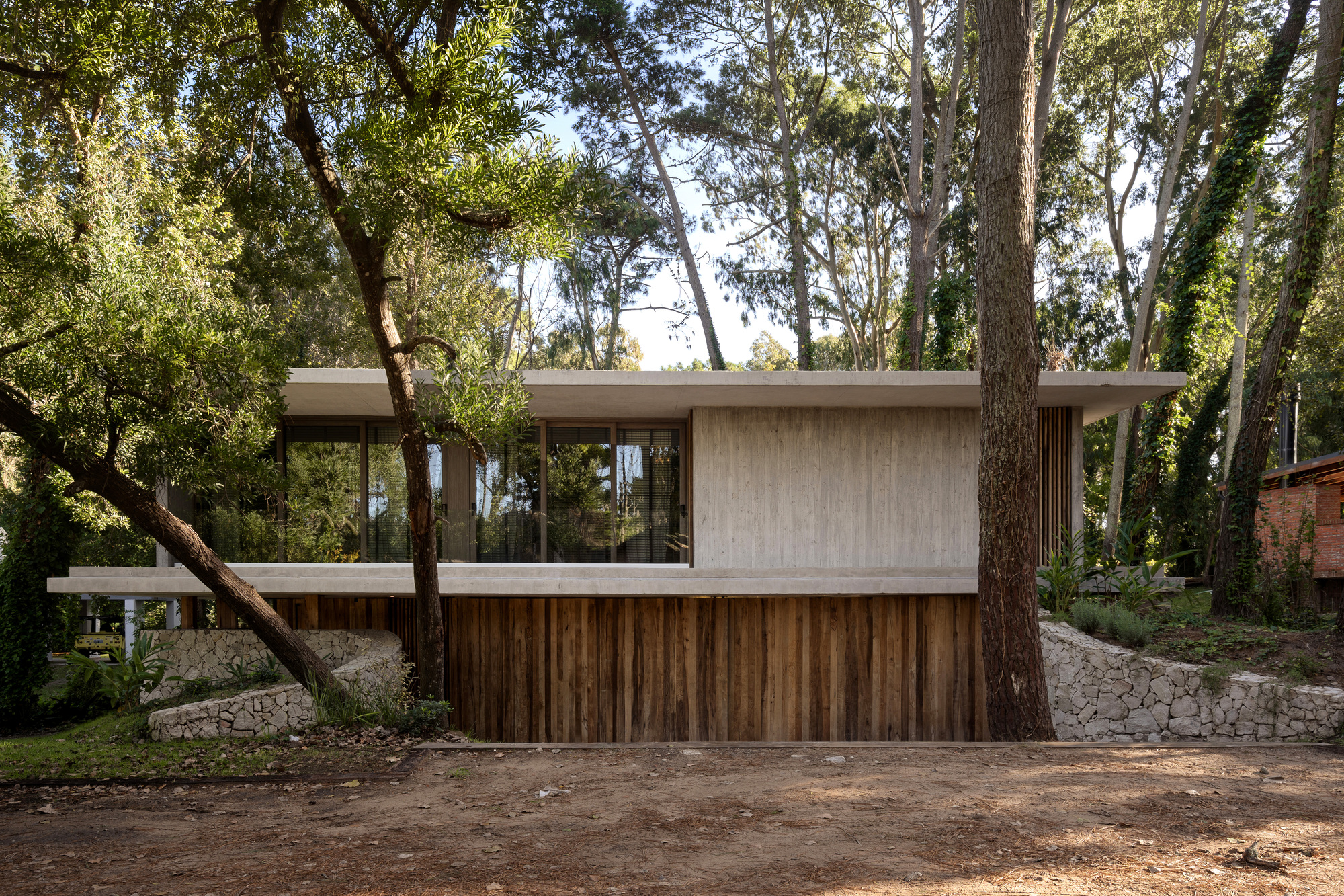 Street-side facade with a concrete roof slab, vertical timber base and stone retaining walls among tall pine trees