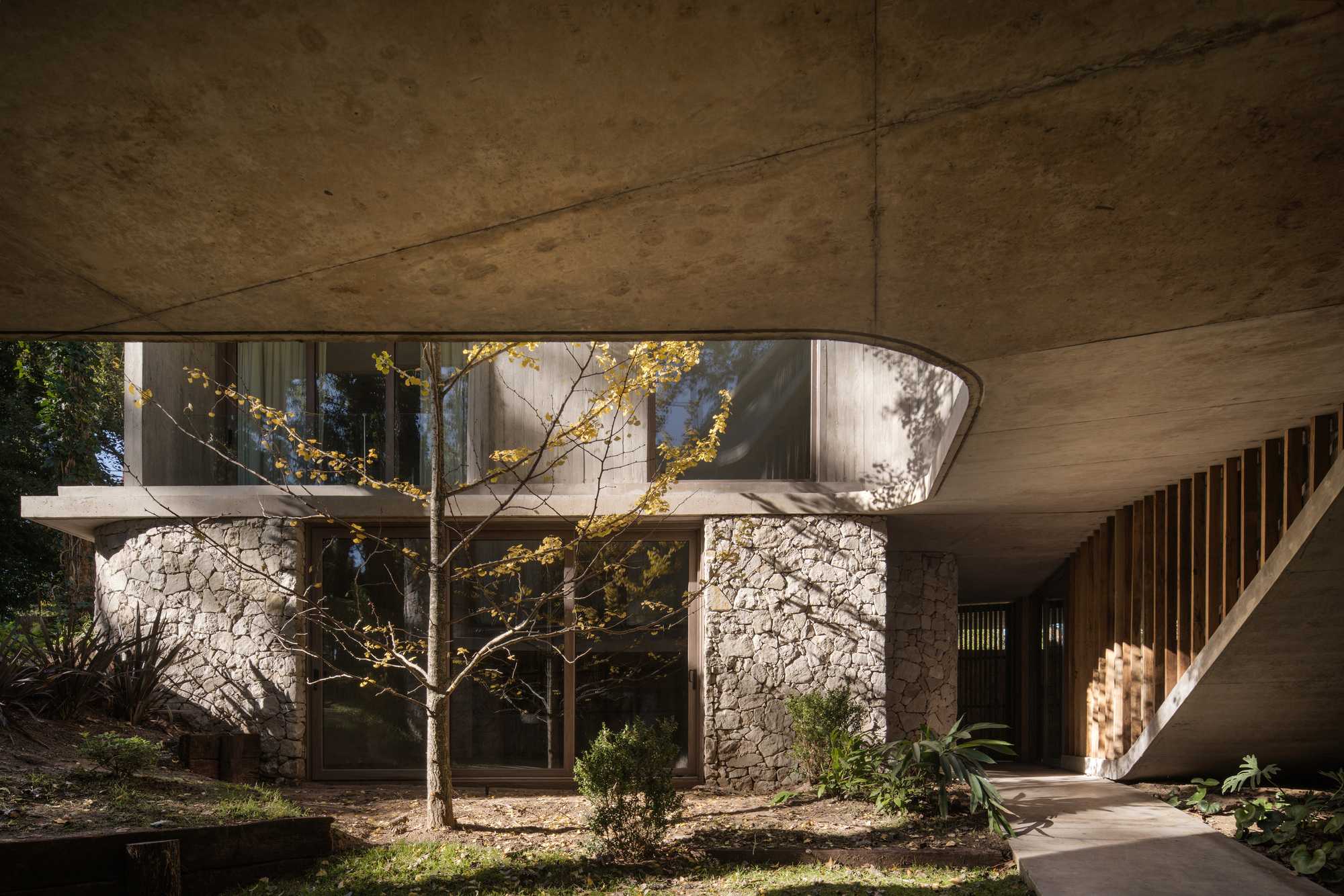 Entry underside of a curved concrete slab above stone piers, glazing and a young tree with yellow autumn leaves