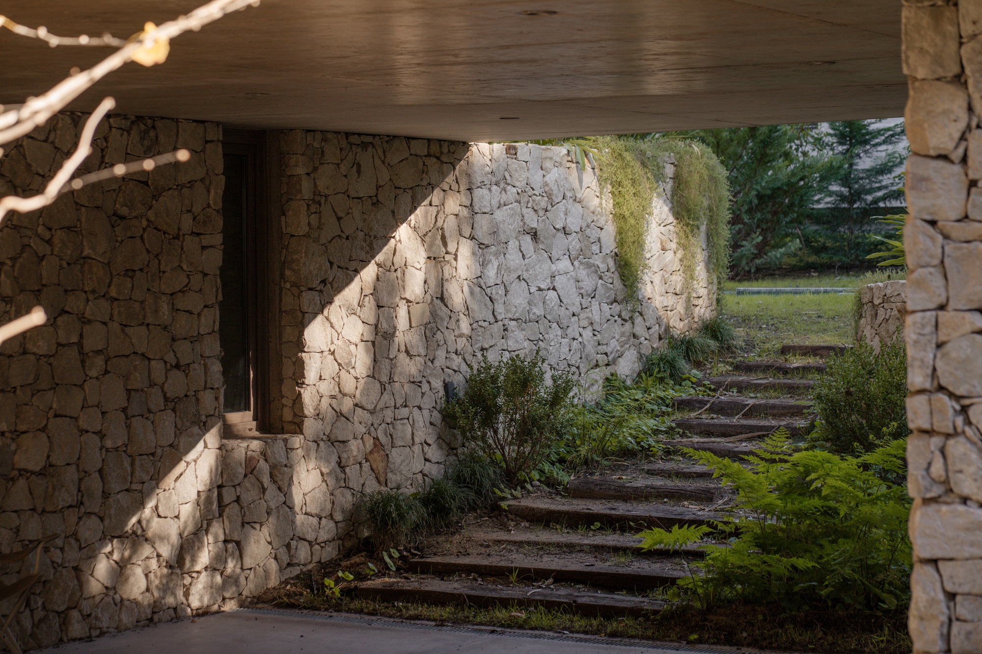 Stone retaining wall and rough stepped path beneath a concrete overhang, with ferns catching low afternoon sun