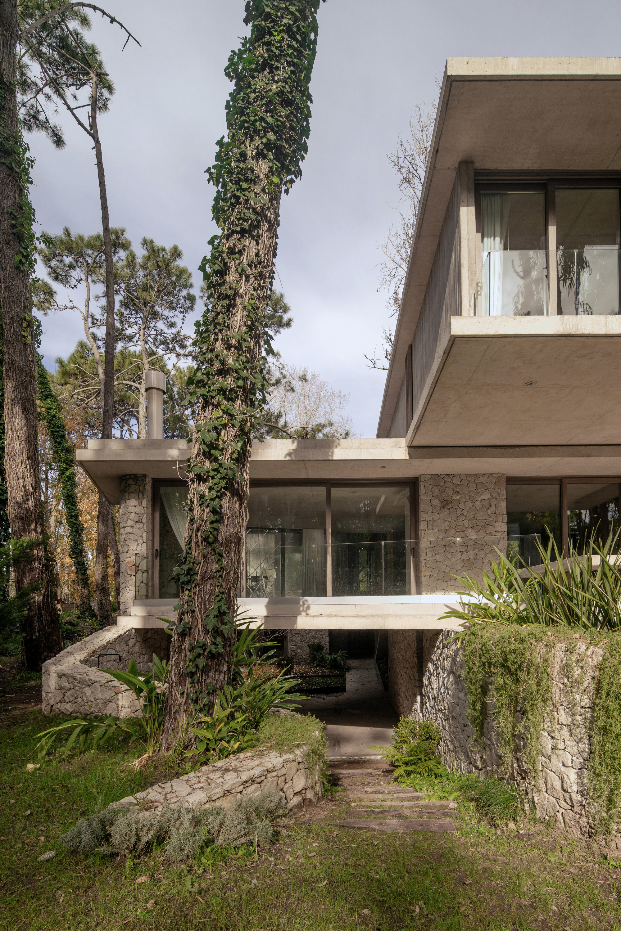 Stacked concrete volumes with stone piers and glazed walls, an ivy-covered tree trunk rising in the foreground under a cloudy sky