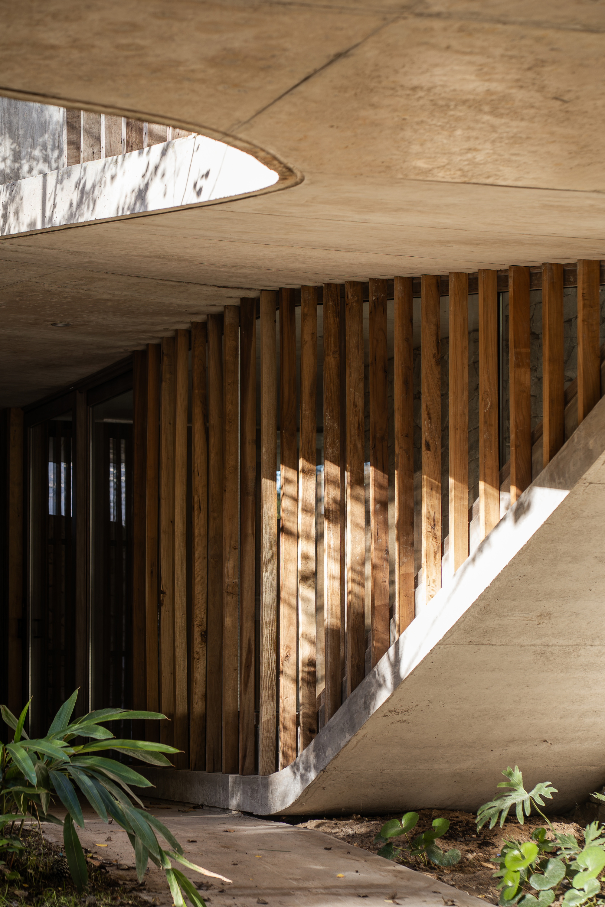 Vertical timber slats curving along a concrete soffit, with dappled sunlight and green leaves at the entry path