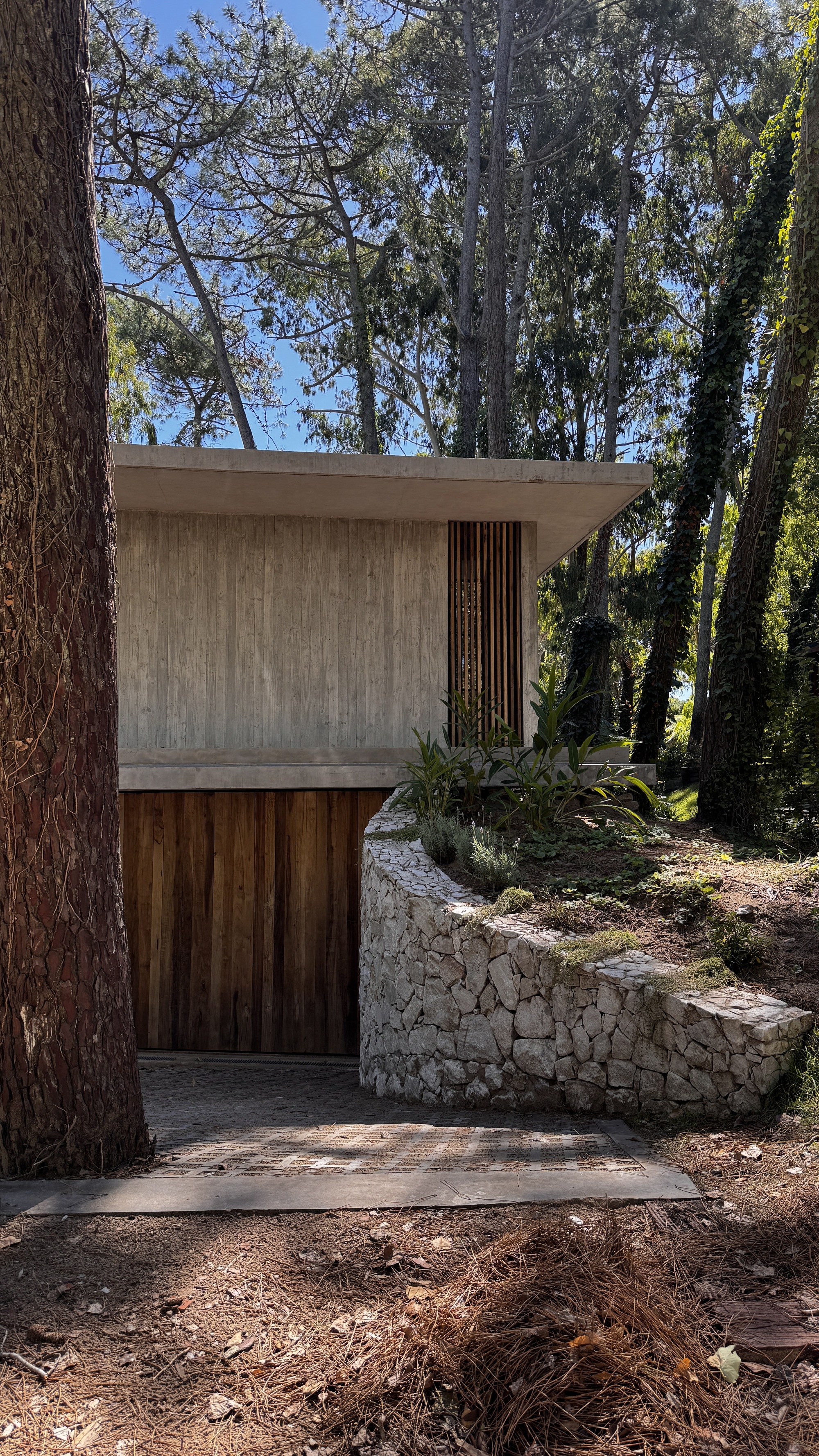 Concrete box with timber slat panel and wood-clad base above a curved rubble stone retaining wall under tall pines