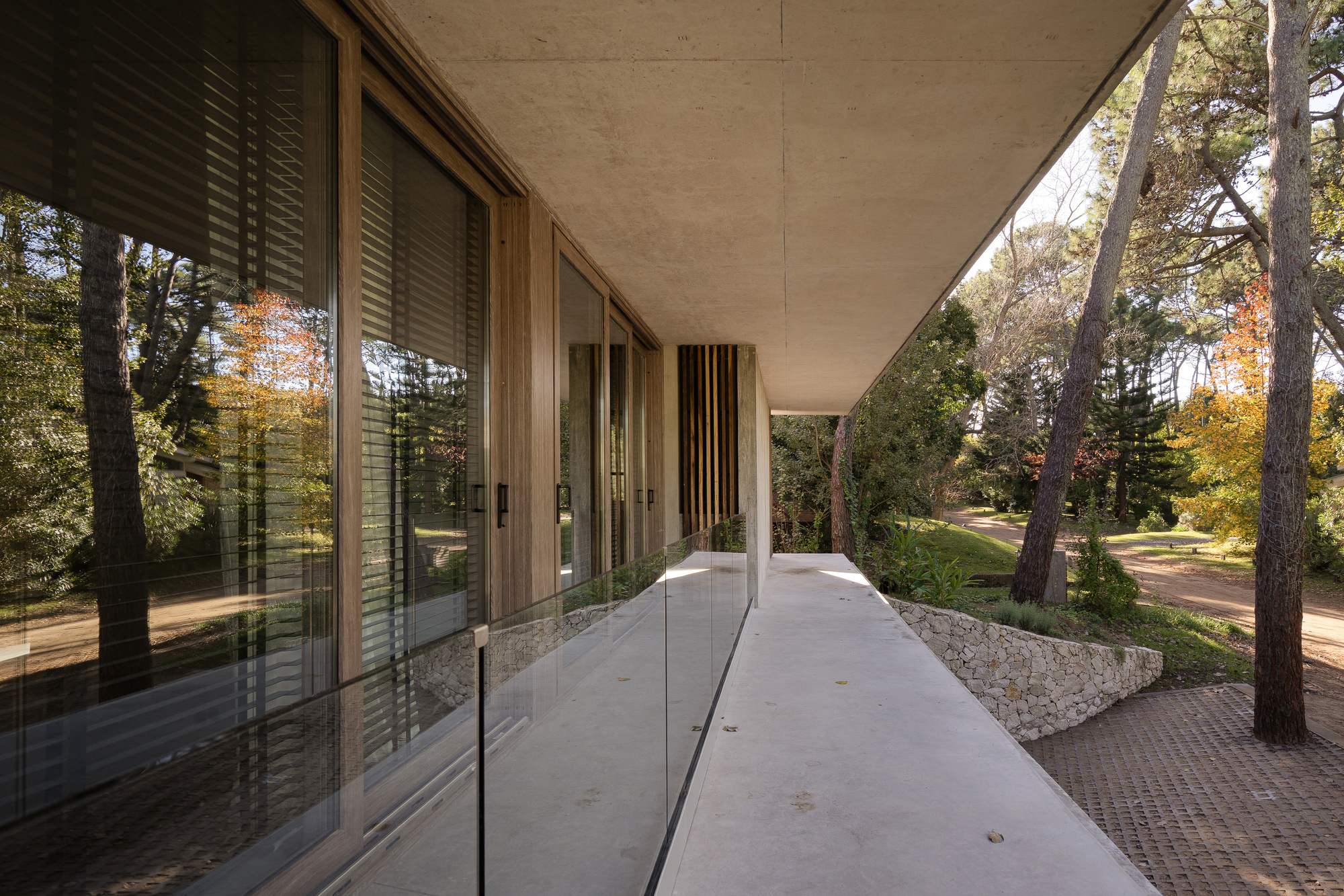 Concrete walkway under a deep overhang, with a glass balustrade and timber-framed sliding doors reflecting autumn trees