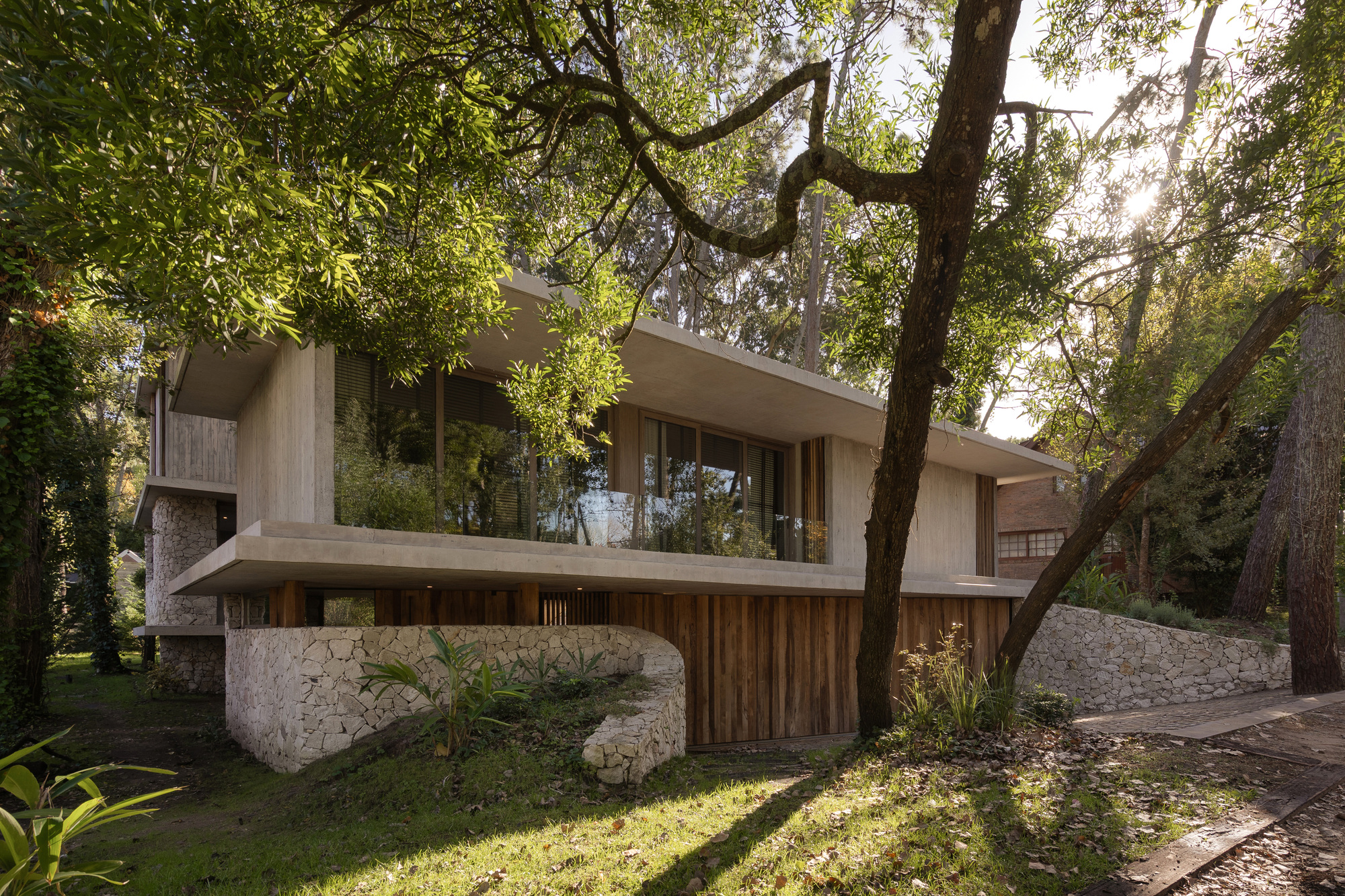 Stone retaining wall curving below a cantilevered concrete upper floor, with timber cladding and sunlight filtering through overhanging branches