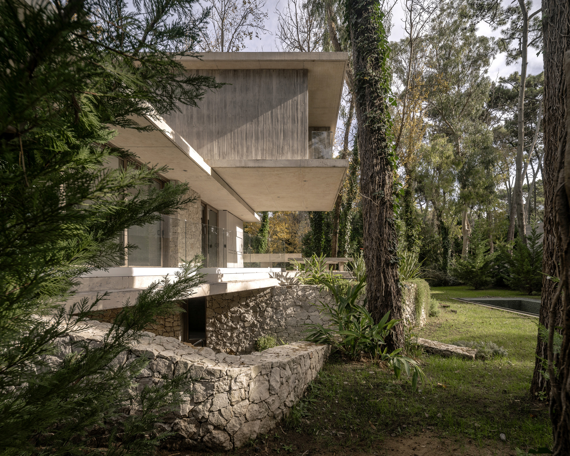 Low view across a curving rubble stone wall toward the cantilevered concrete upper floor, with pine branches in the foreground