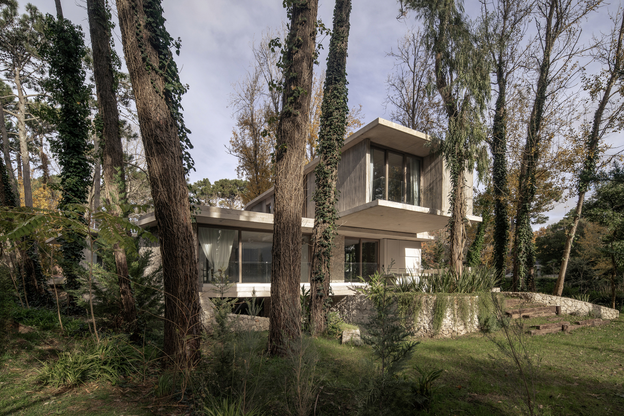Side view of the concrete house between ivy-clad trunks, with a stone terrace wall and lawn in soft overcast light