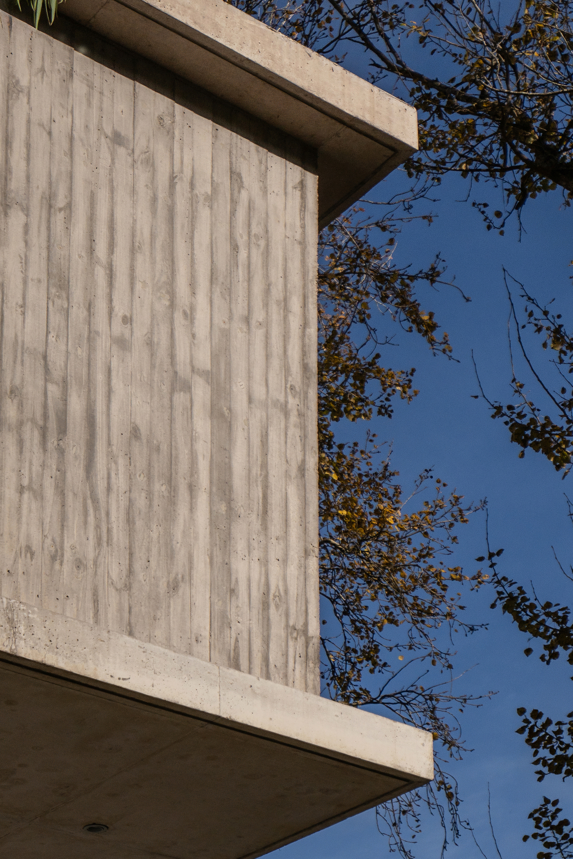 Corner of a board-formed concrete volume with a slab overhang against a deep blue sky and autumn branches