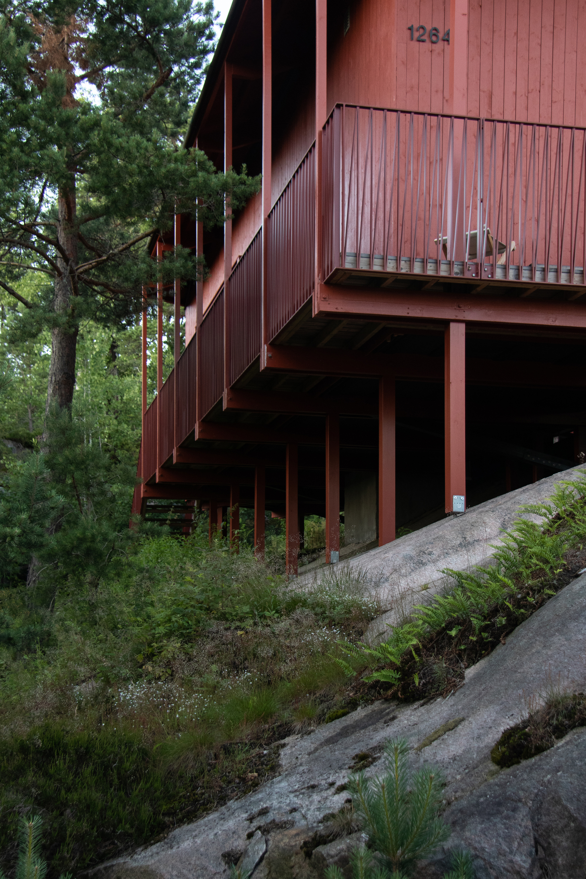 Red timber balcony and slender posts raised on a sloping granite slope, with a pine tree and ferns alongside