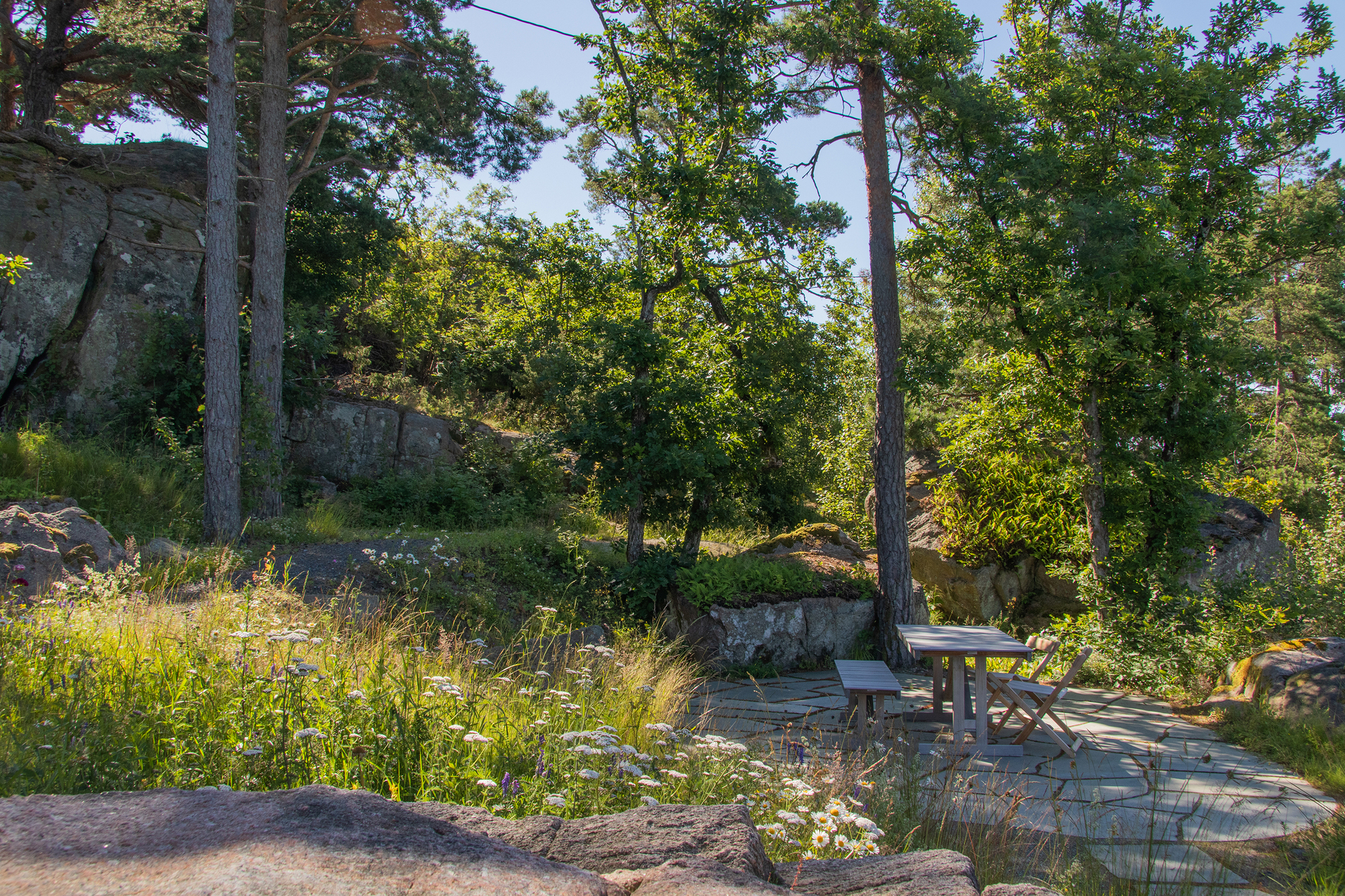 Flagstone terrace with a wooden table and benches among pines and granite outcrops, lit by bright summer sun