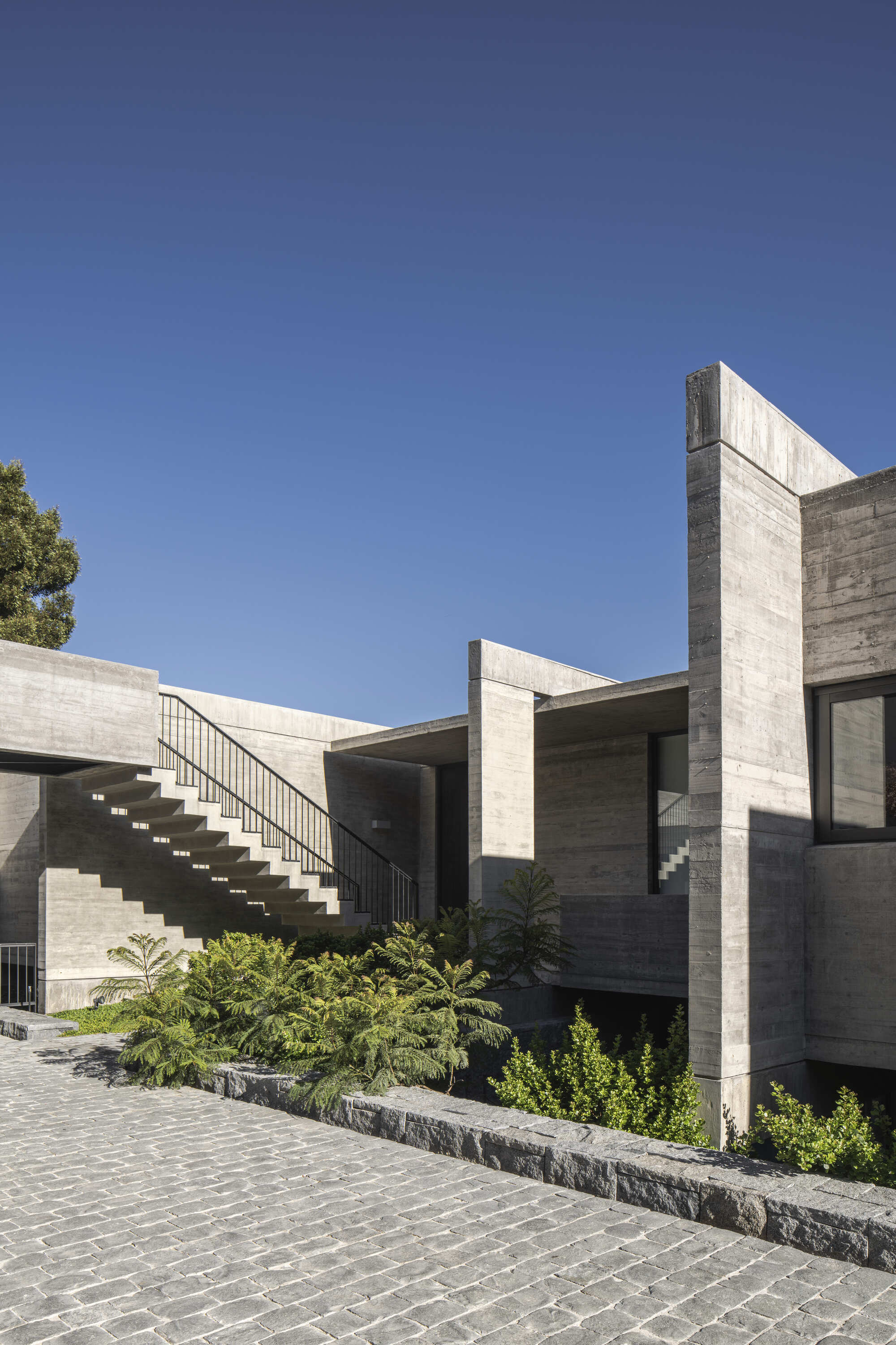 Board-formed concrete walls and an open concrete stair rising behind a fern bed and granite curb under a deep blue sky