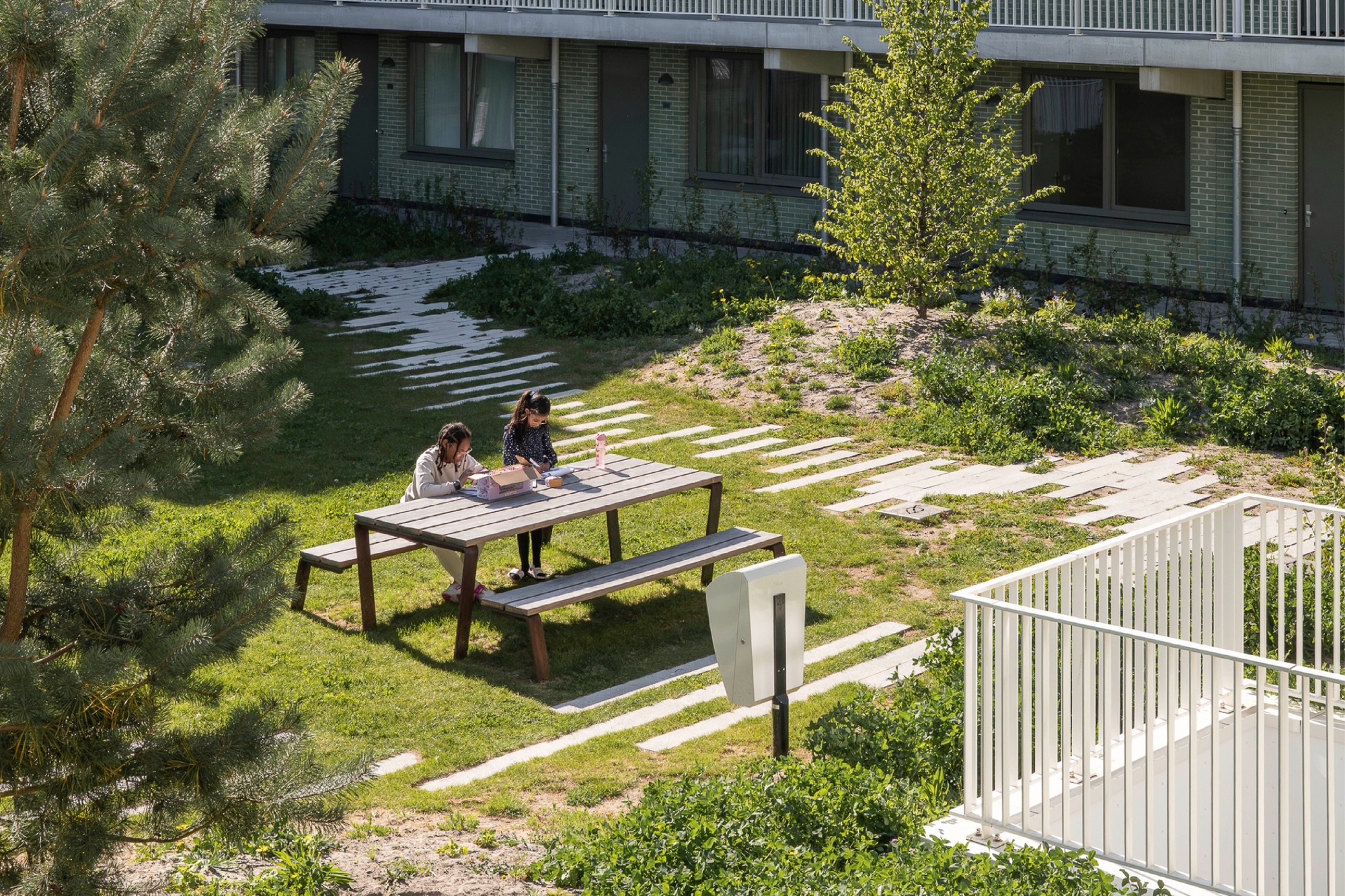 Raised view of two people working at a wooden picnic table on grass, with stepping stones and a pine tree in sun