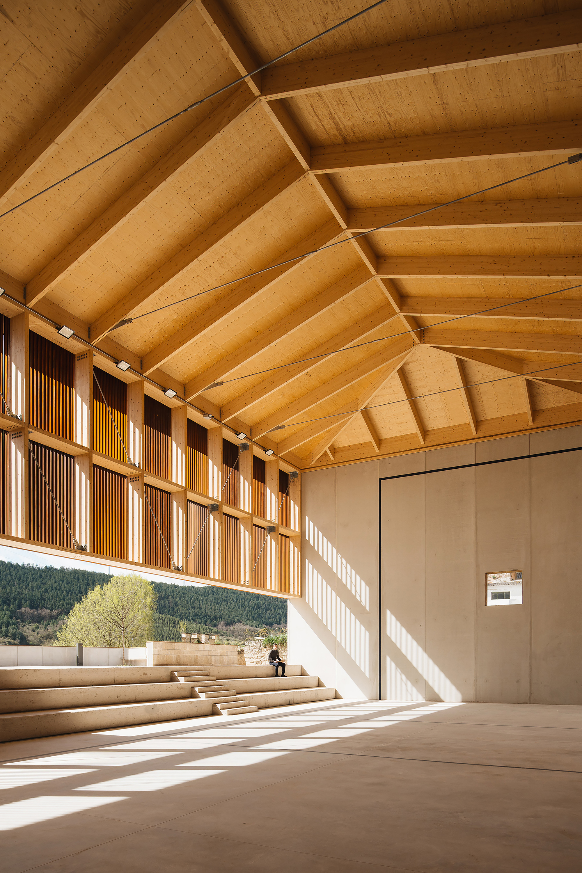 Low sun casts slatted shadows across the concrete floor beneath exposed timber rafters, with a seated figure on the stepped seating
