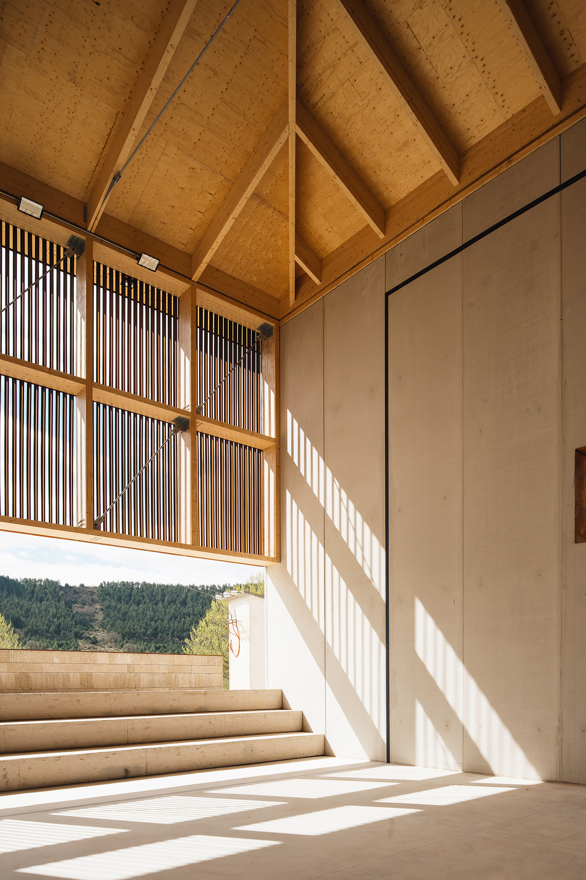 Timber-framed hall interior with vertical wood slat screen, pitched plywood ceiling and stone steps, sunlight casting diagonal shadows across the concrete wall