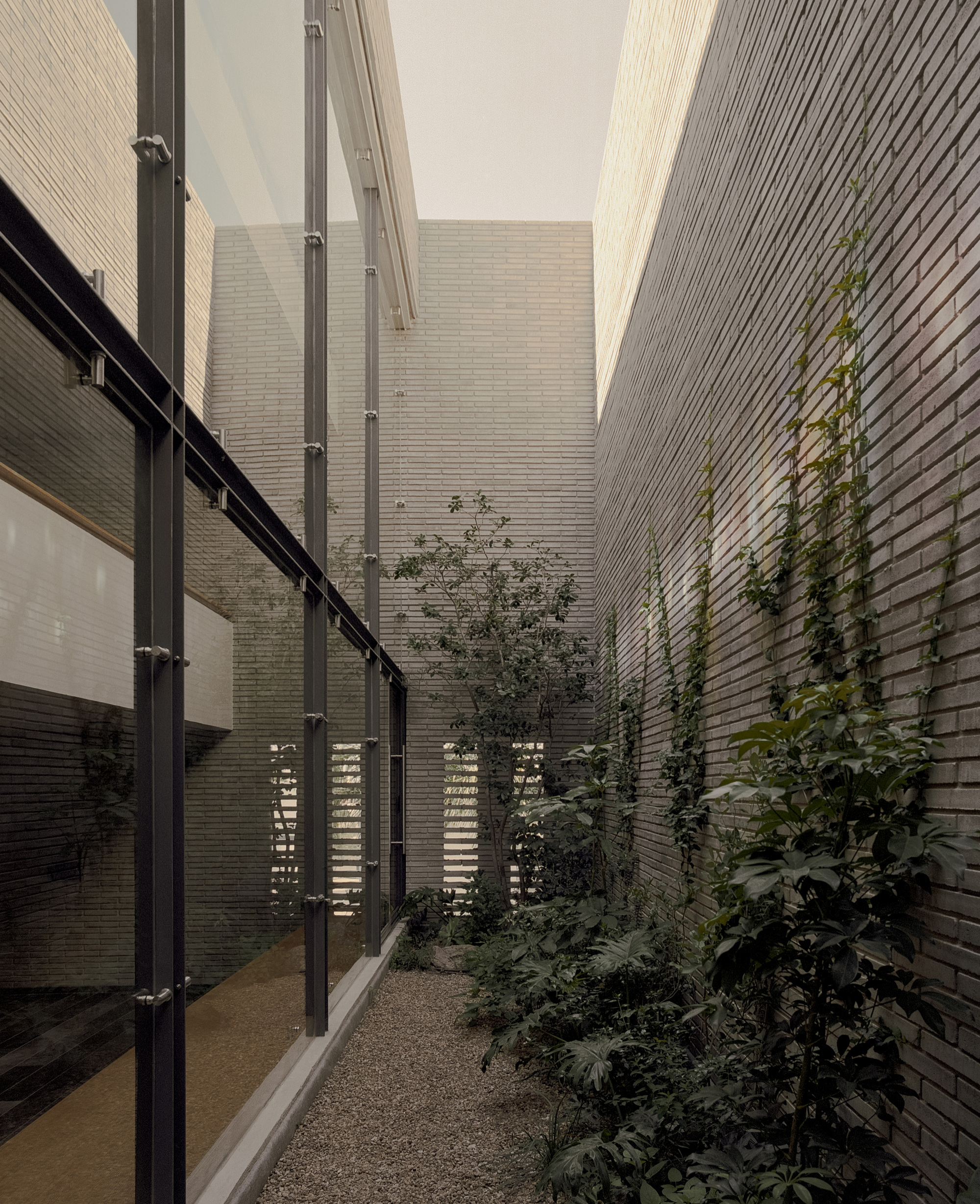 Narrow gravel courtyard between brick walls, with climbing vines and ferns beside a steel-framed glass wall under a pale sky