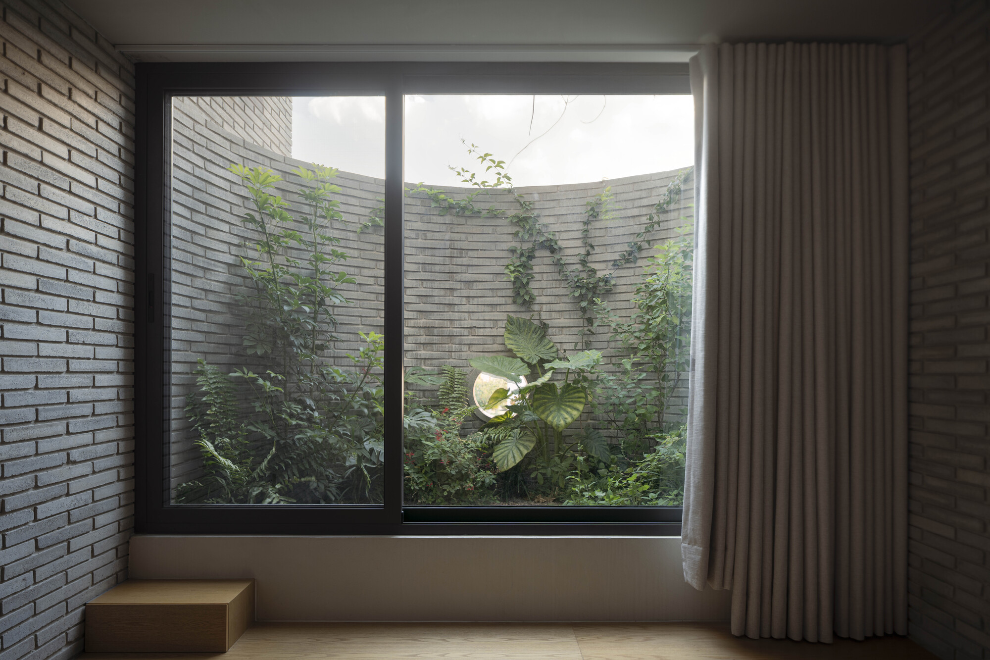 Sliding window framing a curved brick light well filled with climbing plants and large-leaved foliage under a cloudy sky