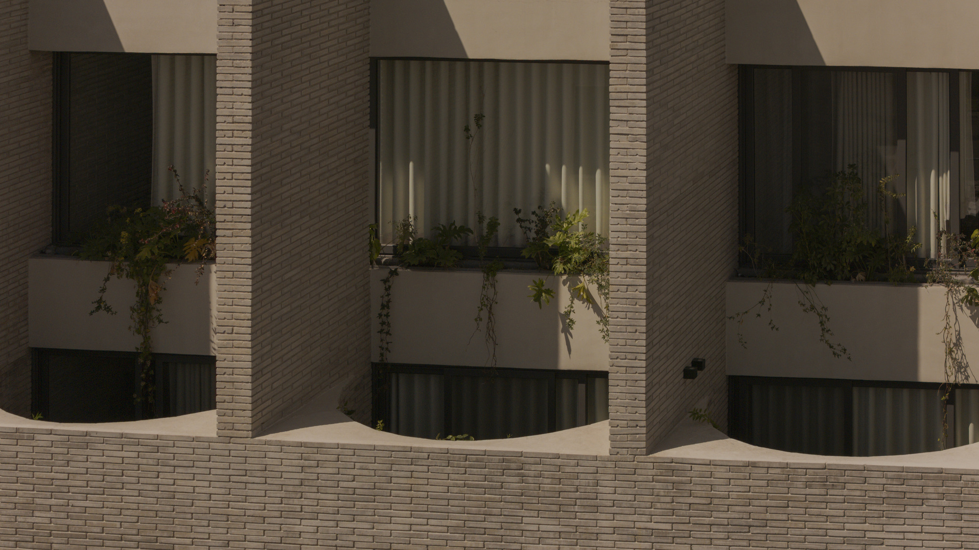 Brick piers and curved parapet framing recessed windows with sheer curtains and trailing vines in low afternoon sun