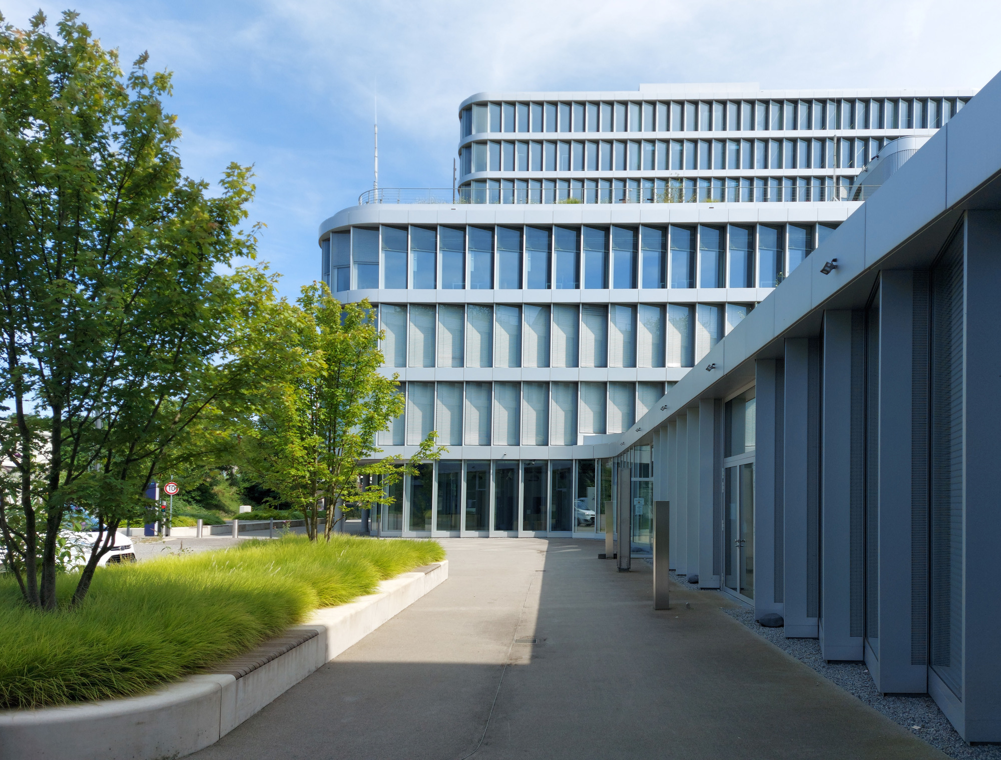 Covered walkway with grey fin columns leading toward the stepped glass facade, beside a grass planting bed and maple trees