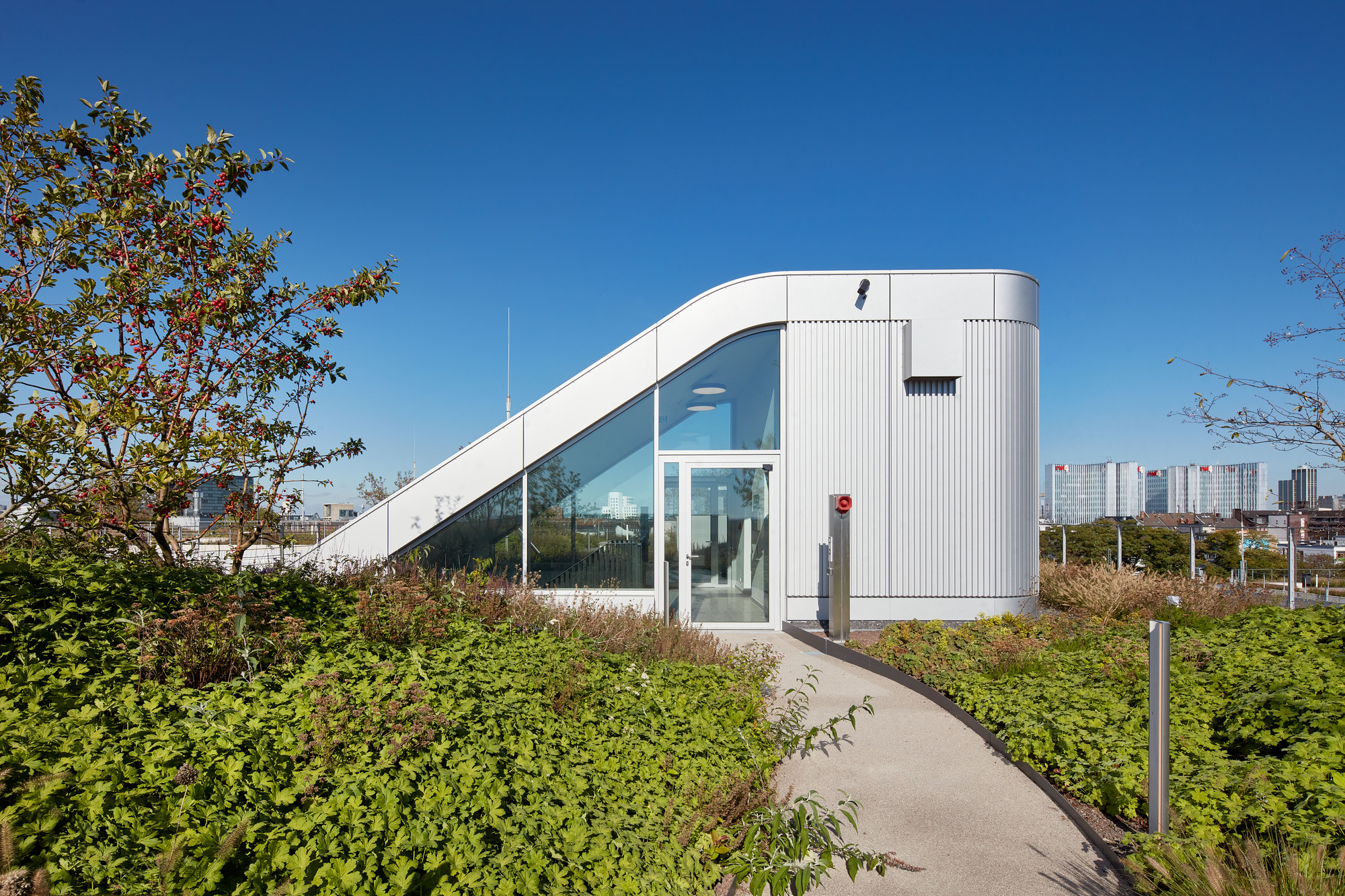 Small rooftop pavilion with corrugated metal wall and sloped glazing, reached by a curving path through planted beds in clear light