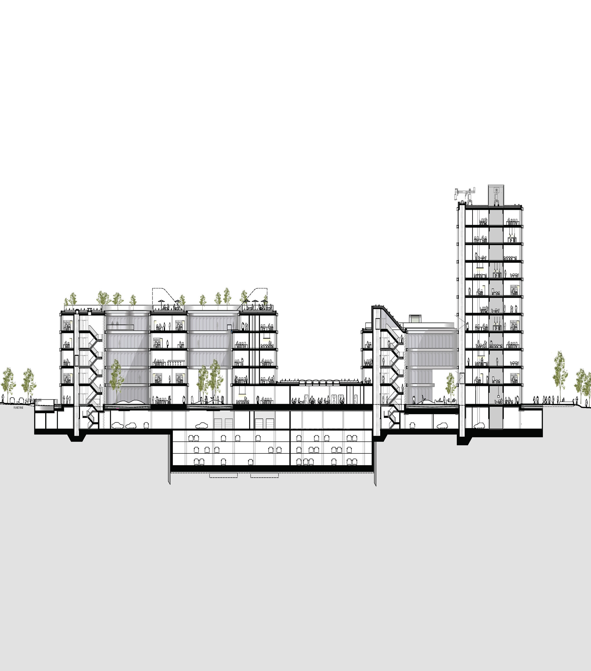 Section drawing showing a low block with roof planting, a tall tower, atrium spaces and a basement car park below ground