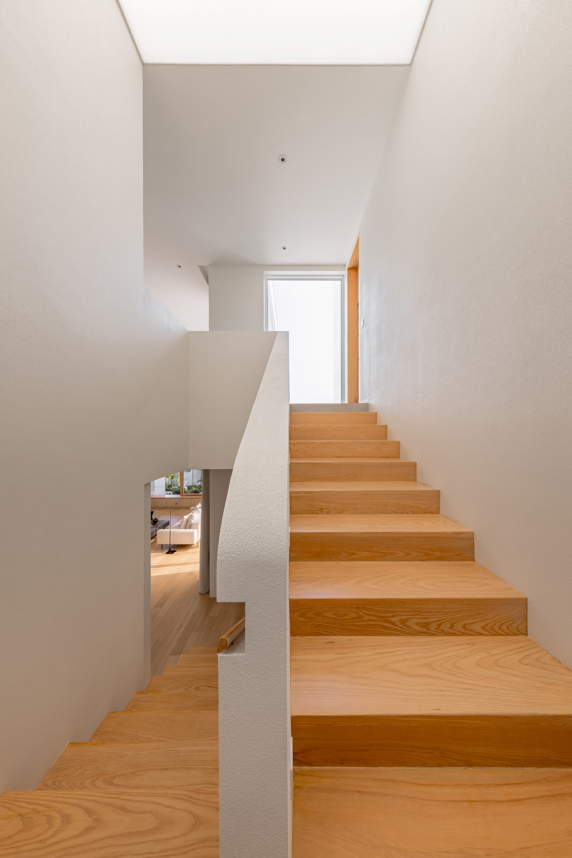 Timber staircase with a plastered white balustrade rising toward a bright skylight, with the living area glimpsed below
