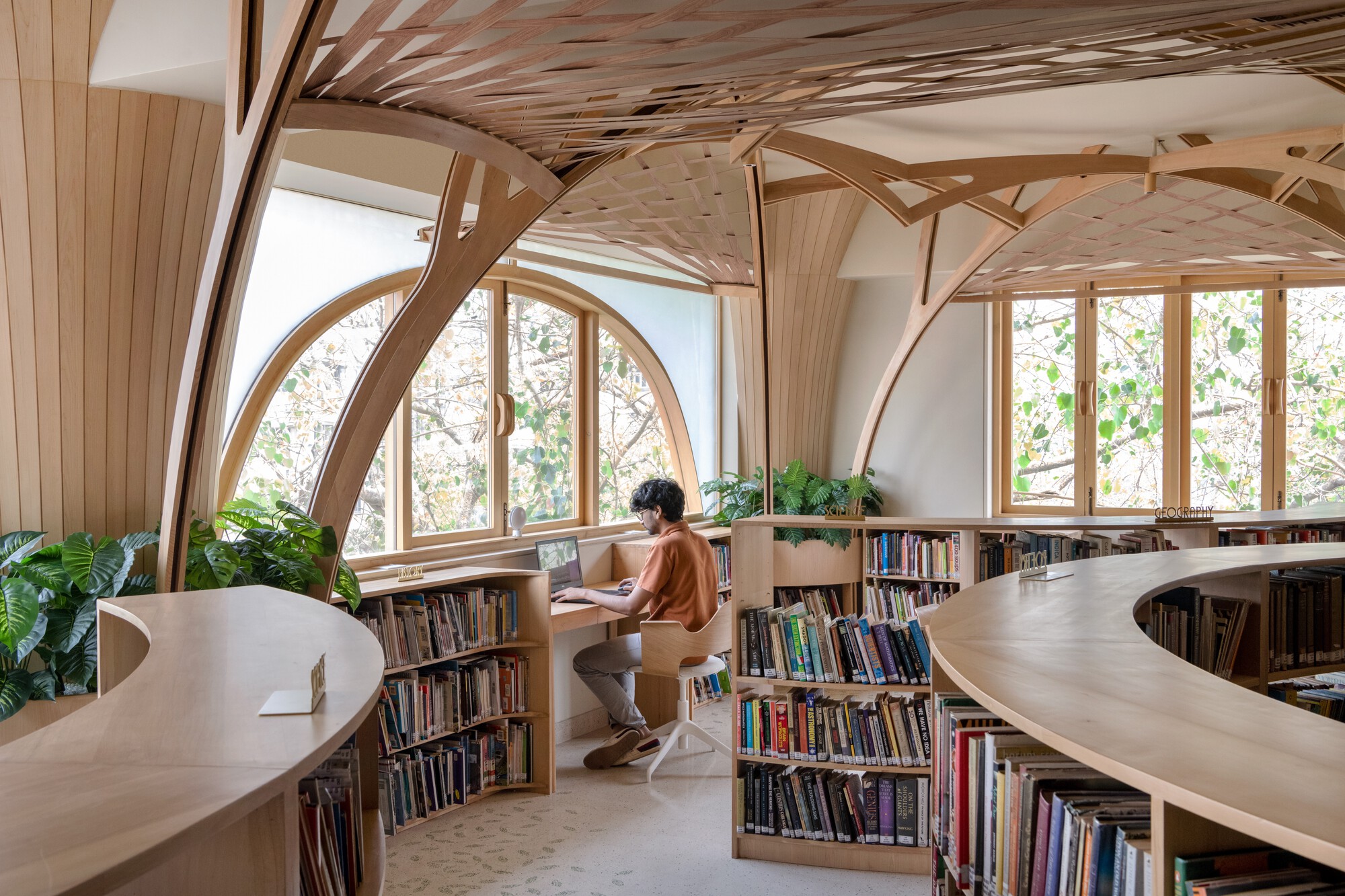 Reader at a laptop desk beneath an arched window, with woven timber ceiling panels and curved shelving counters