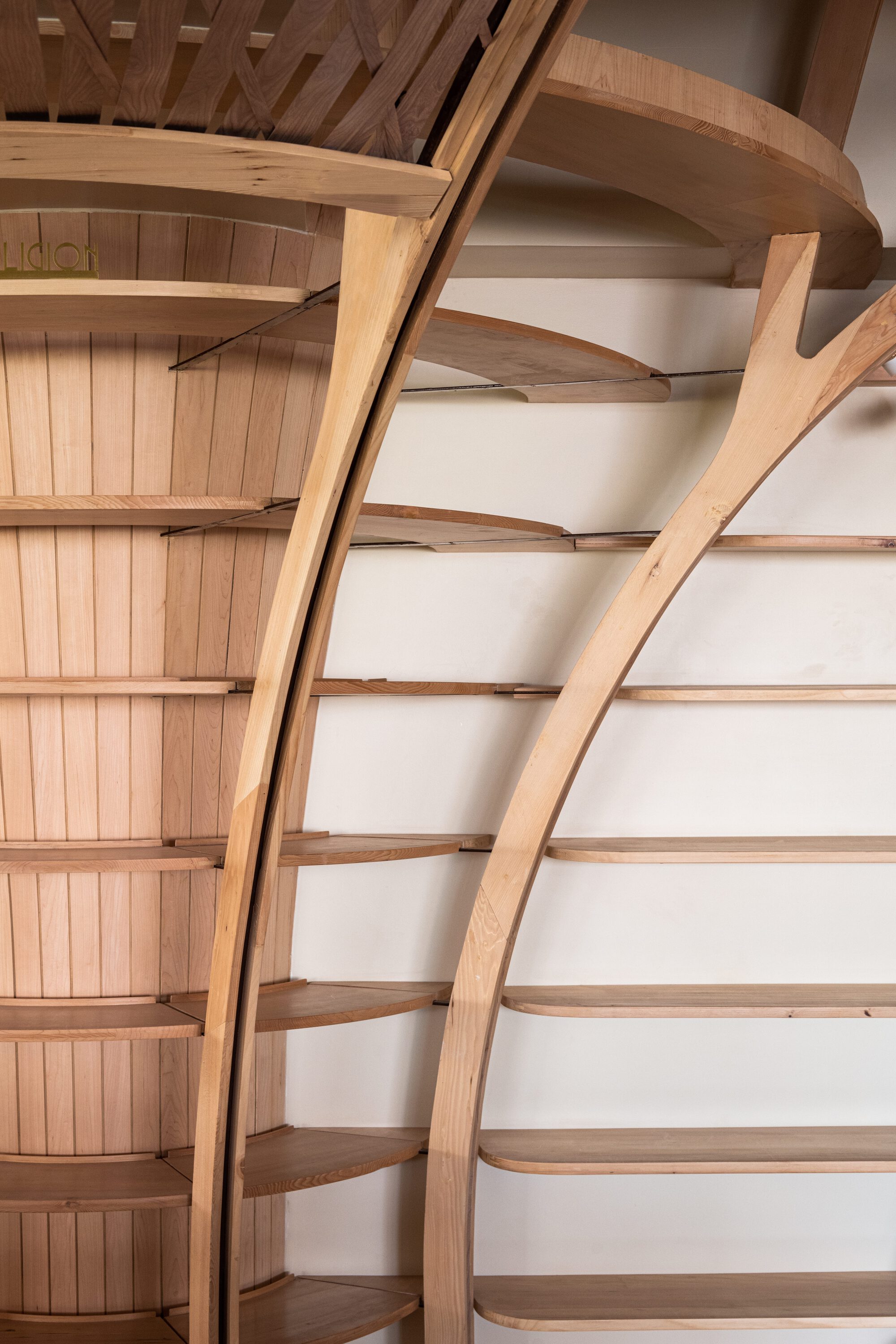 Close-up of curved timber ribs and arched bookshelves with thin shelves, set against a white wall and slatted wooden panelling