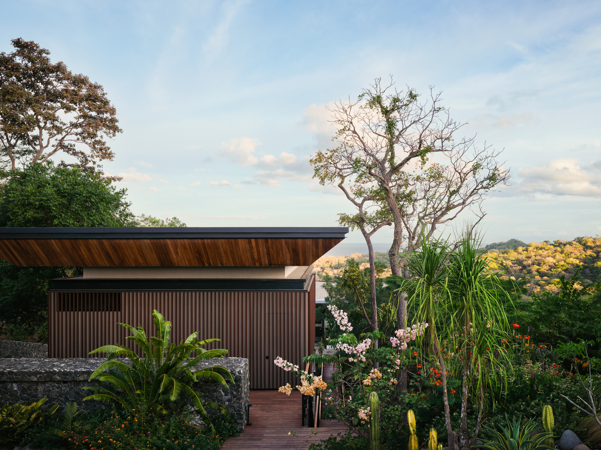 Slatted wood volume under a thin cantilevered roof, framed by flowering shrubs, palms and a bare tree against a pale evening sky