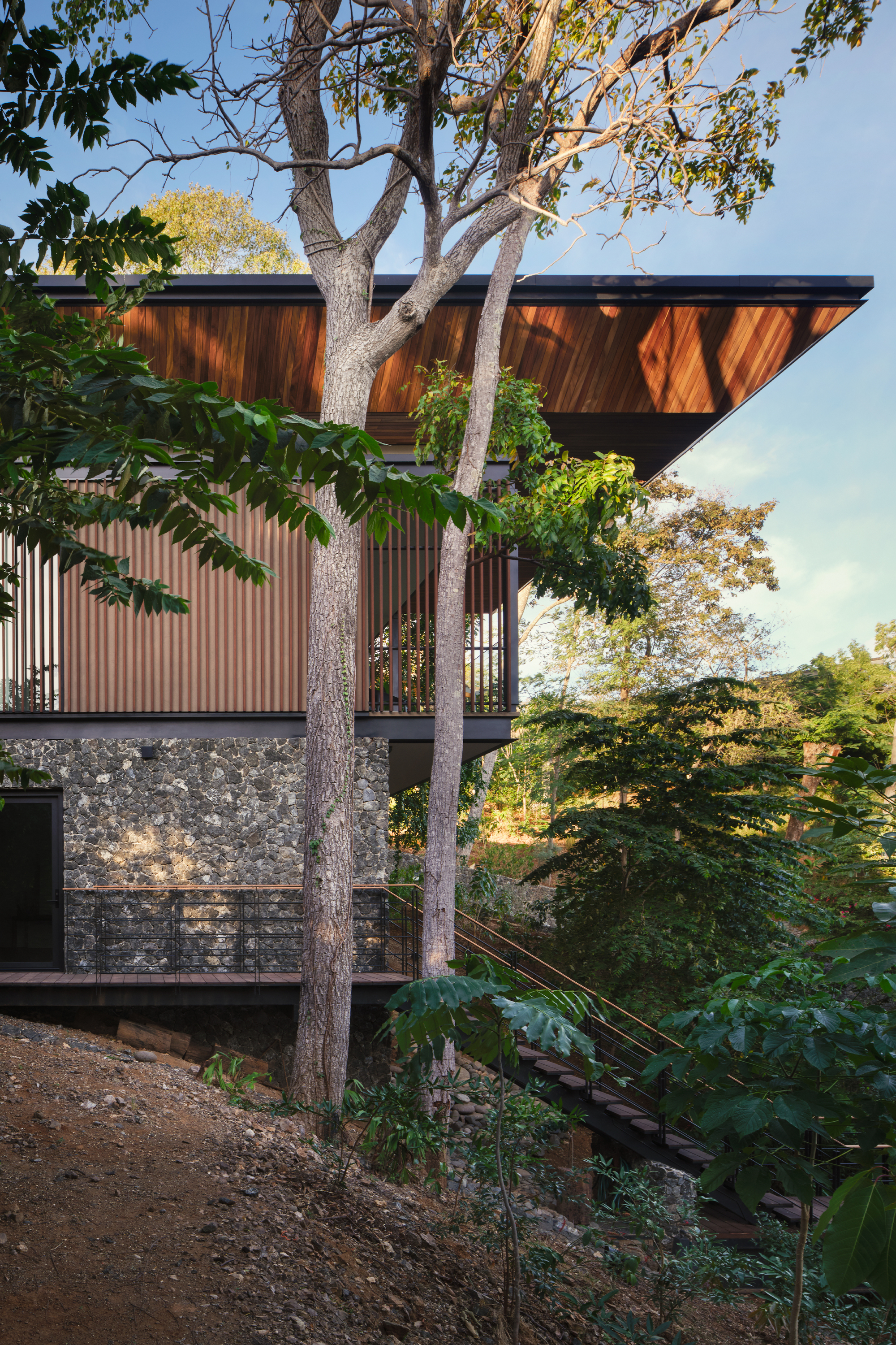 Side view of the stone base, slatted wood screen and angled timber soffit, with a slender tree trunk rising in front