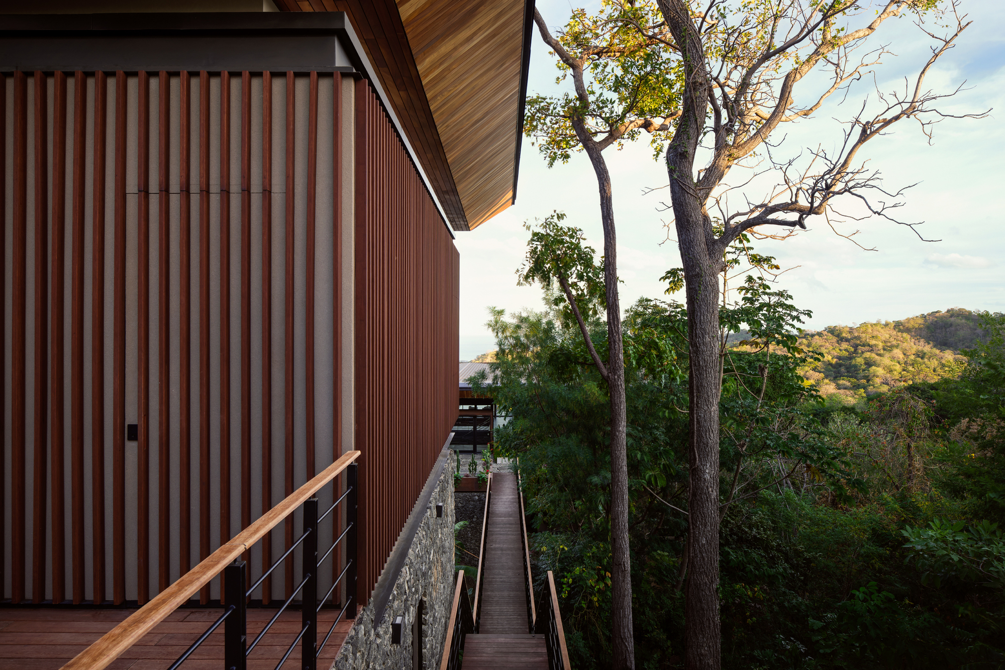 Vertical timber slat facade beside a narrow wooden walkway, with tall bare-branched trees in warm evening light