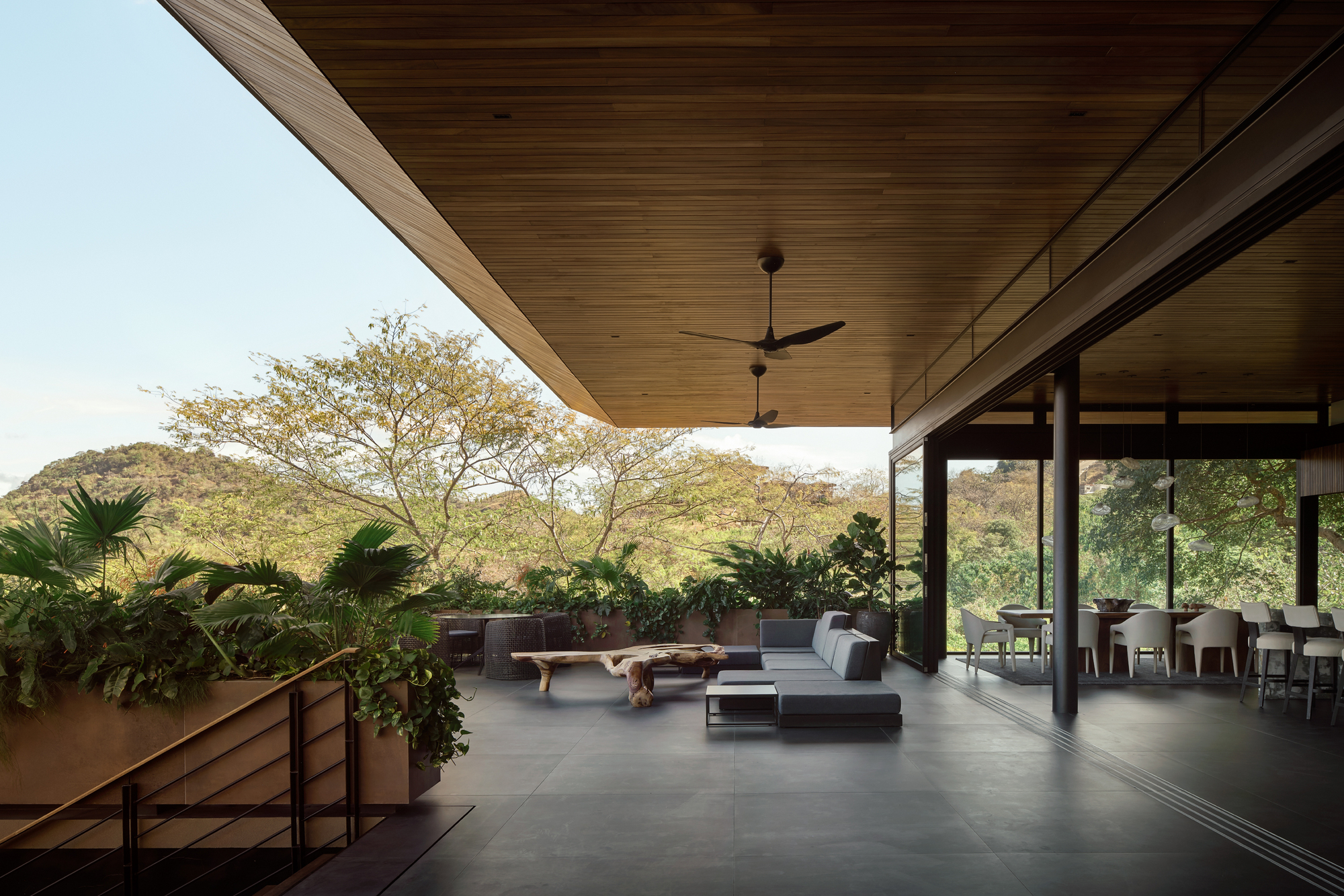 Covered terrace with a timber ceiling, ceiling fans and low sofa, planters in the foreground and a dining area beyond the glass