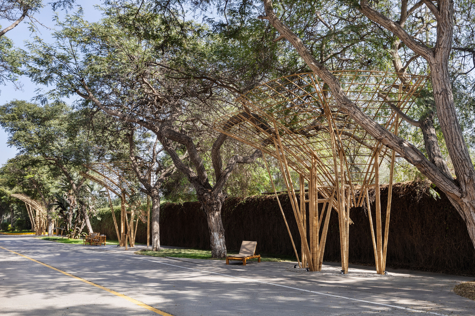 Row of bamboo canopies along a paved road beneath tall trees, with a wooden lounger in dappled afternoon shade
