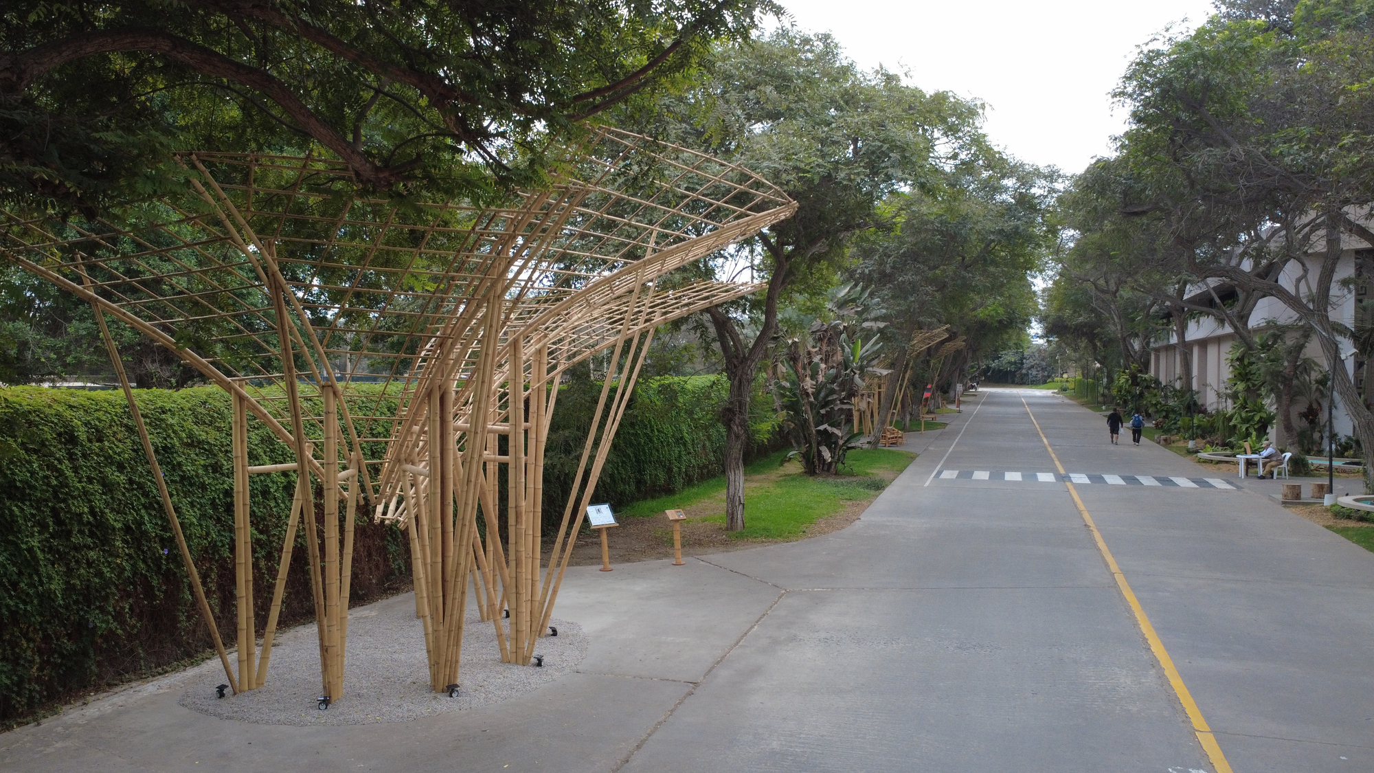 Bamboo canopy in the foreground and a line of similar structures receding along a tree-lined road with two pedestrians
