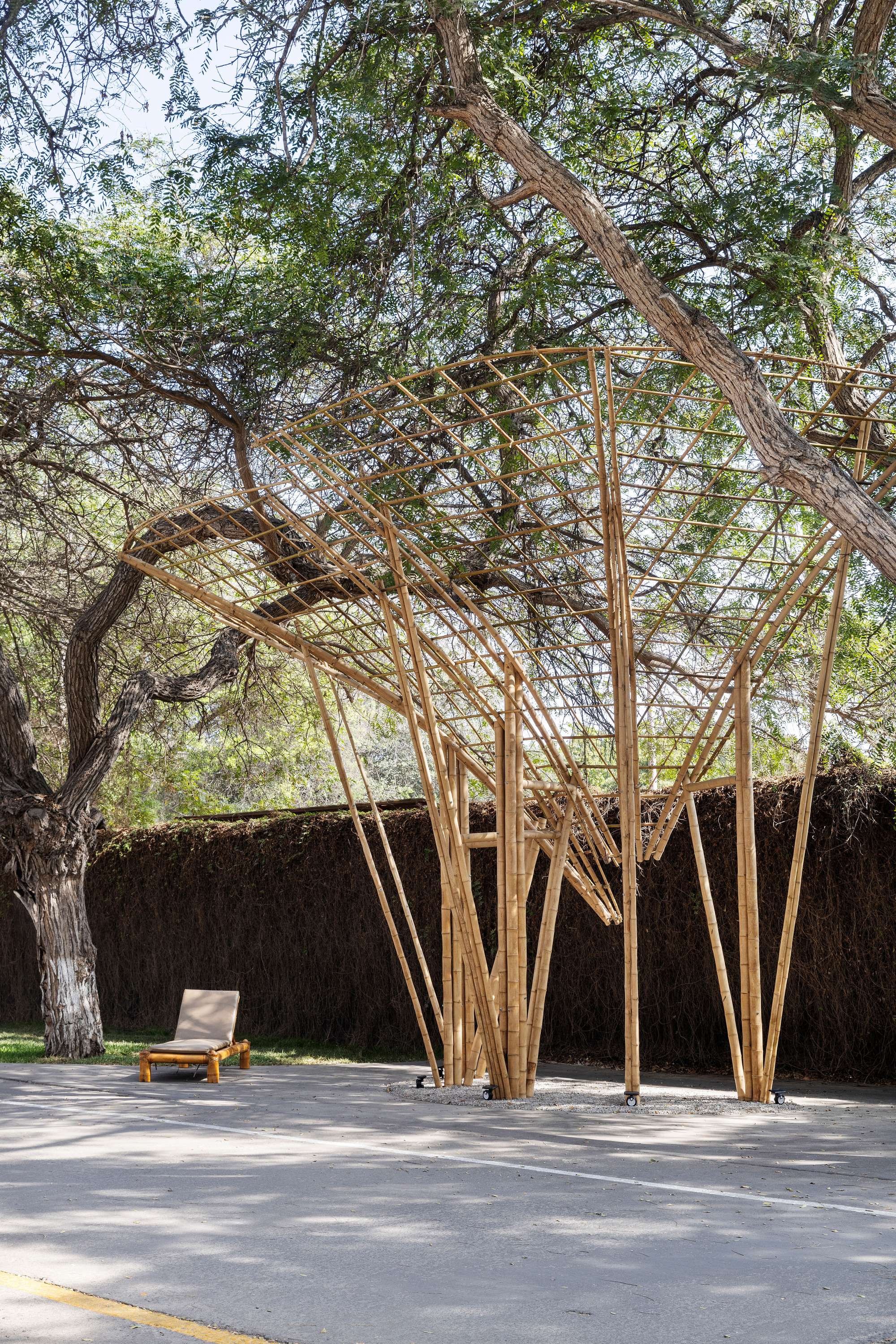 Vertical view of the bamboo canopy's splayed poles and open grid roof beneath a leaning tree trunk, lounger nearby