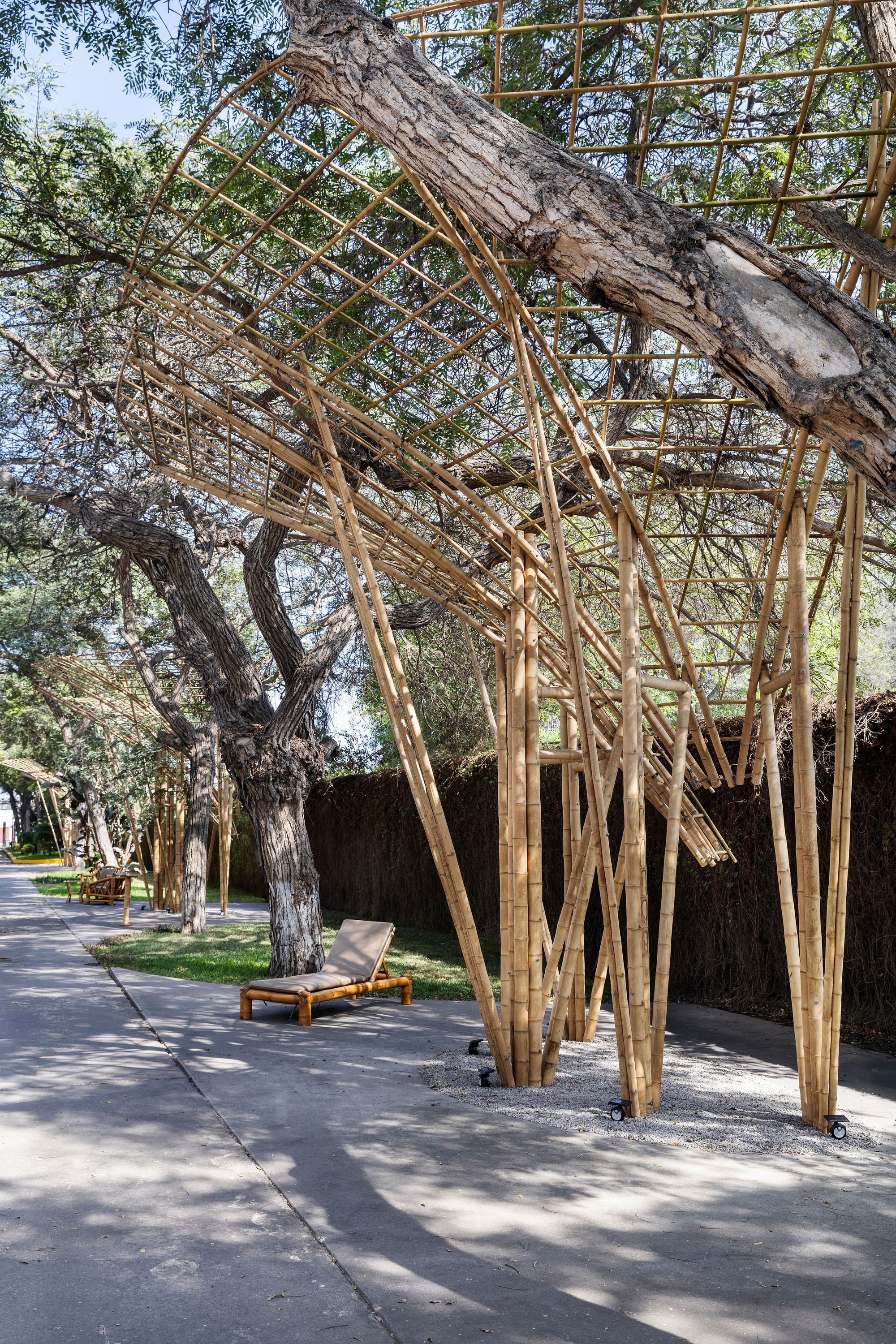 Low angle of slanted bamboo poles and lattice roof passing beneath a thick tree limb, with a lounger on the grass