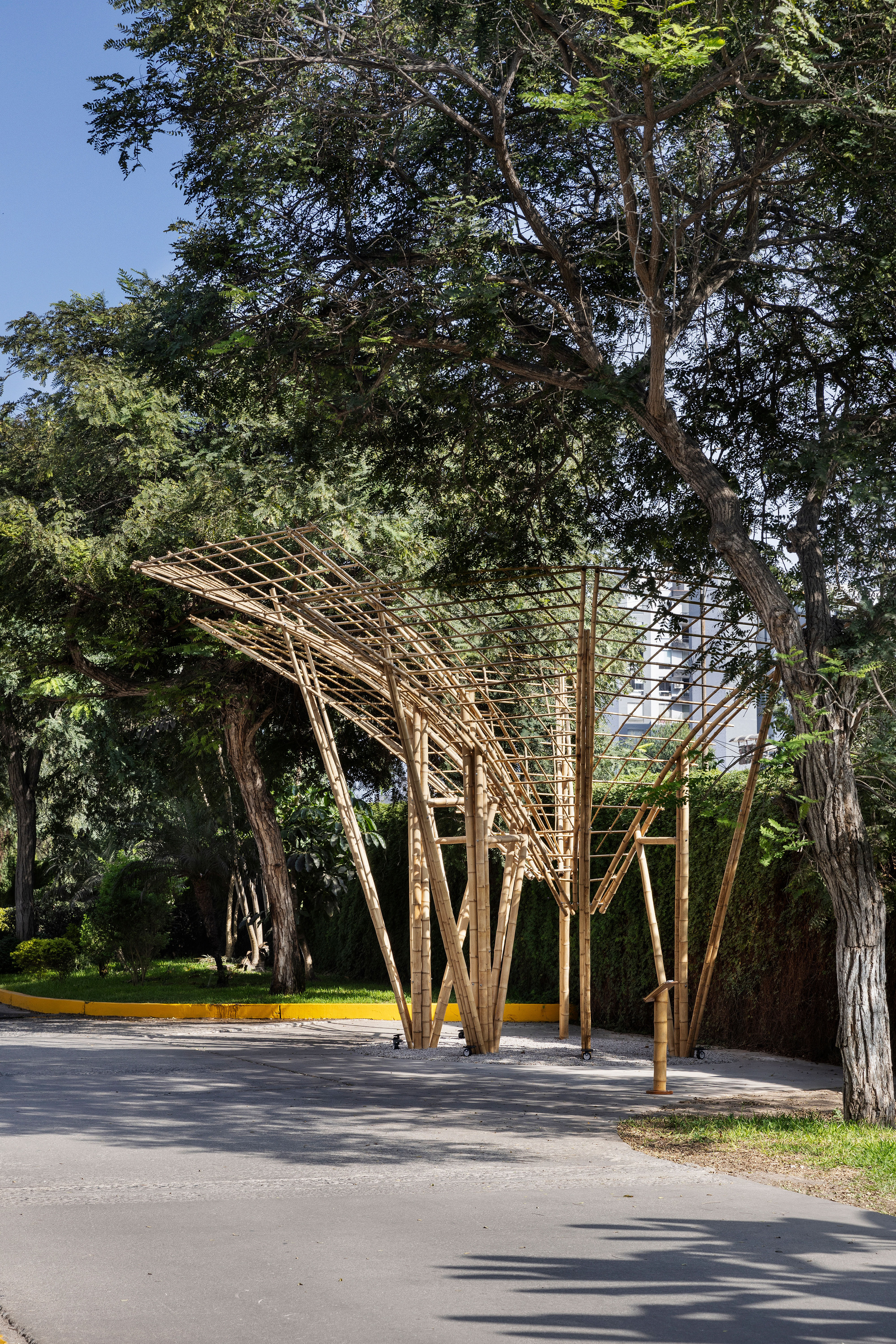 Bamboo lattice canopy tilting upward from clustered columns beside a yellow curb, framed by tall trees under a blue sky
