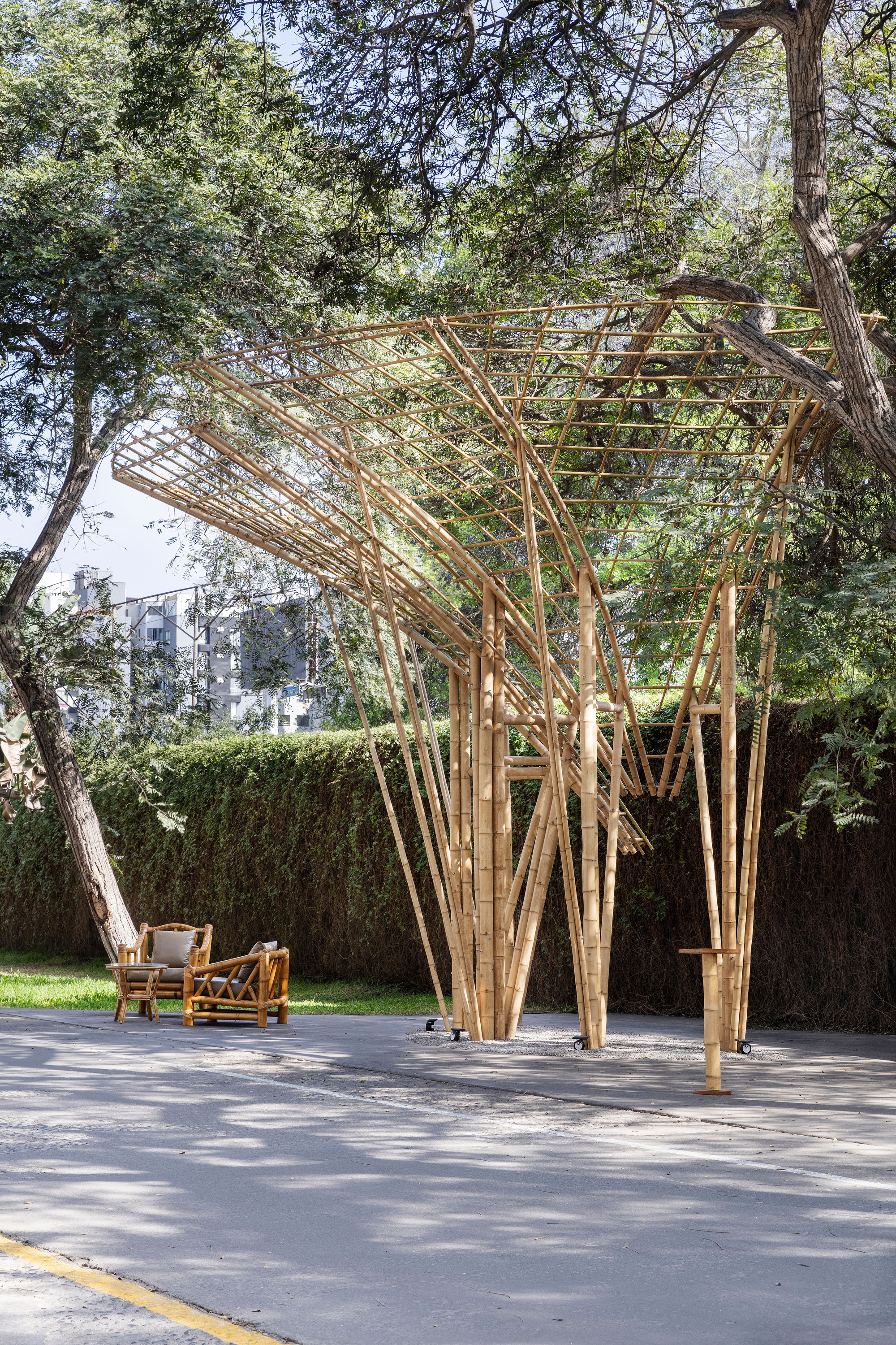Bamboo canopy over the road edge with a pair of cane armchairs on the lawn, set against a clipped hedge