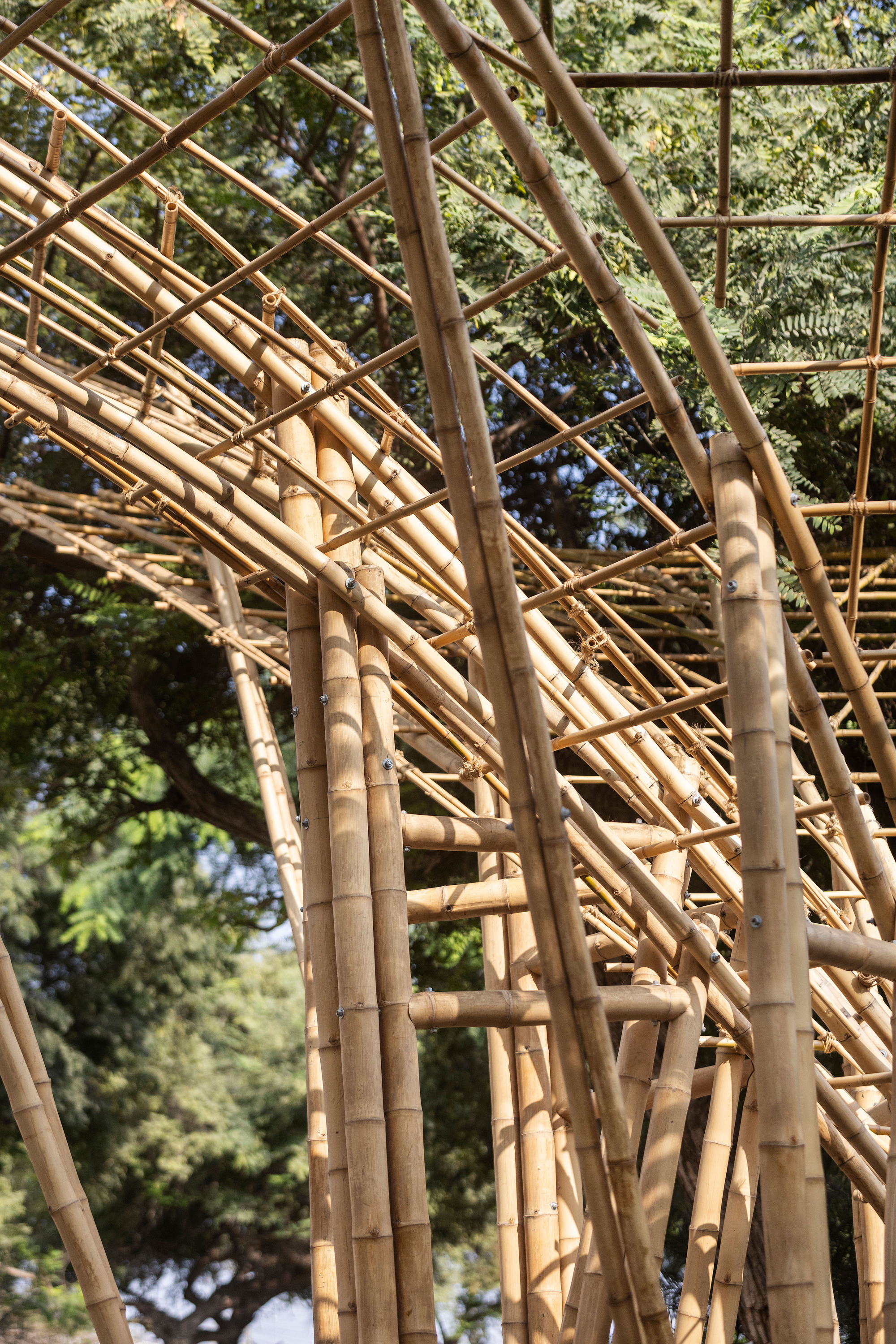 Close view of vertical bamboo poles and fanning rods forming a canopy frame, with tree foliage behind in bright daylight