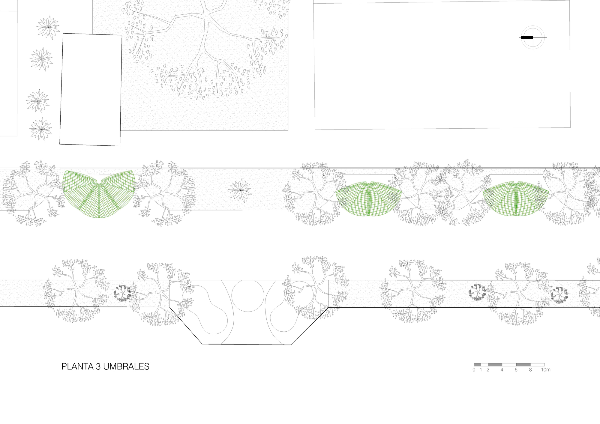 Site plan drawing showing three green fan-shaped canopies set between tree crowns along a linear path