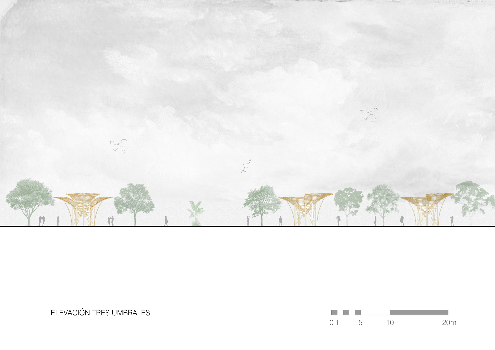 Elevation drawing of three flared timber canopies spaced among trees and small figures under a cloudy sky with birds