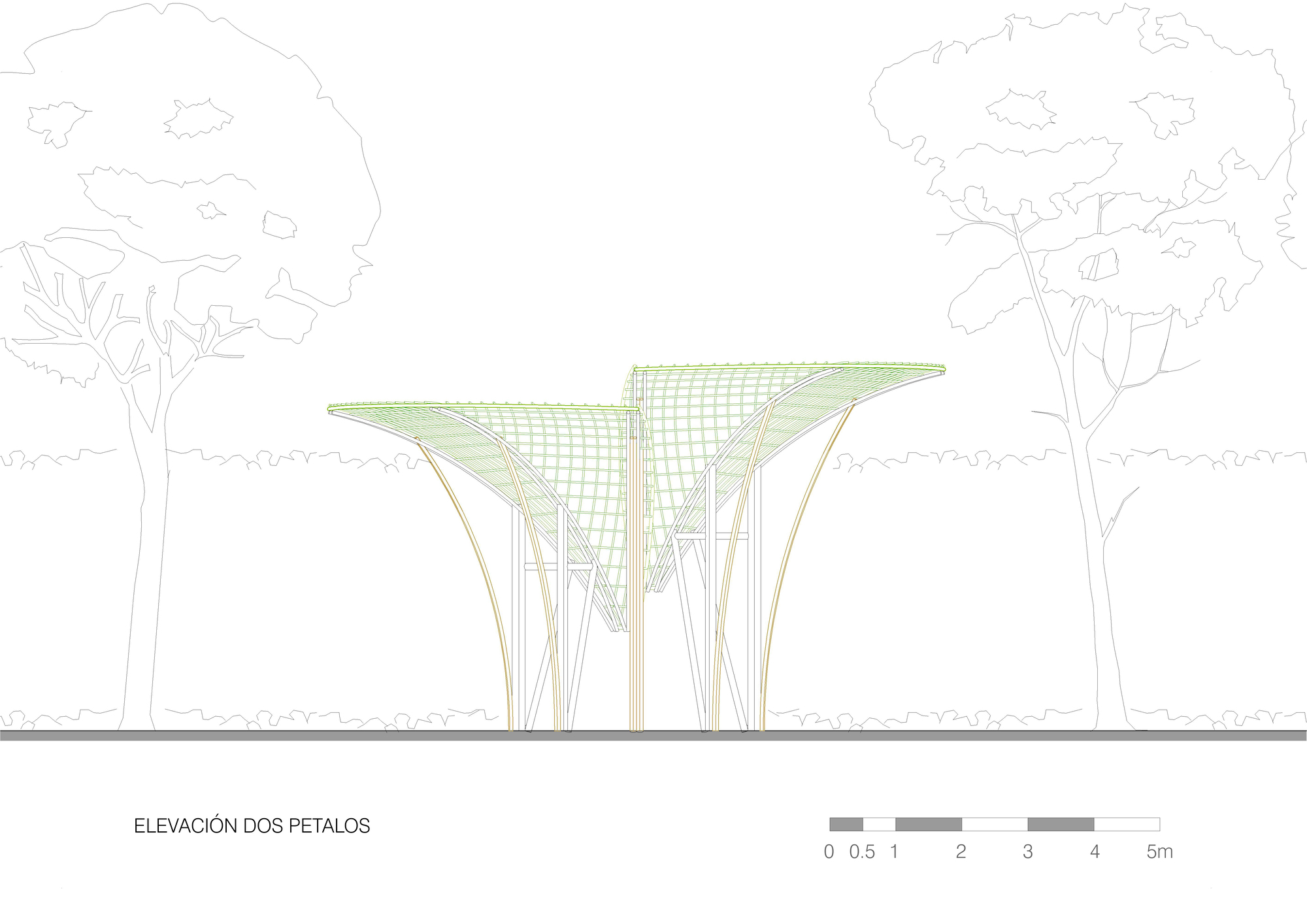 Elevation drawing of a two-petal canopy with curved timber supports and a gridded roof between outlined trees
