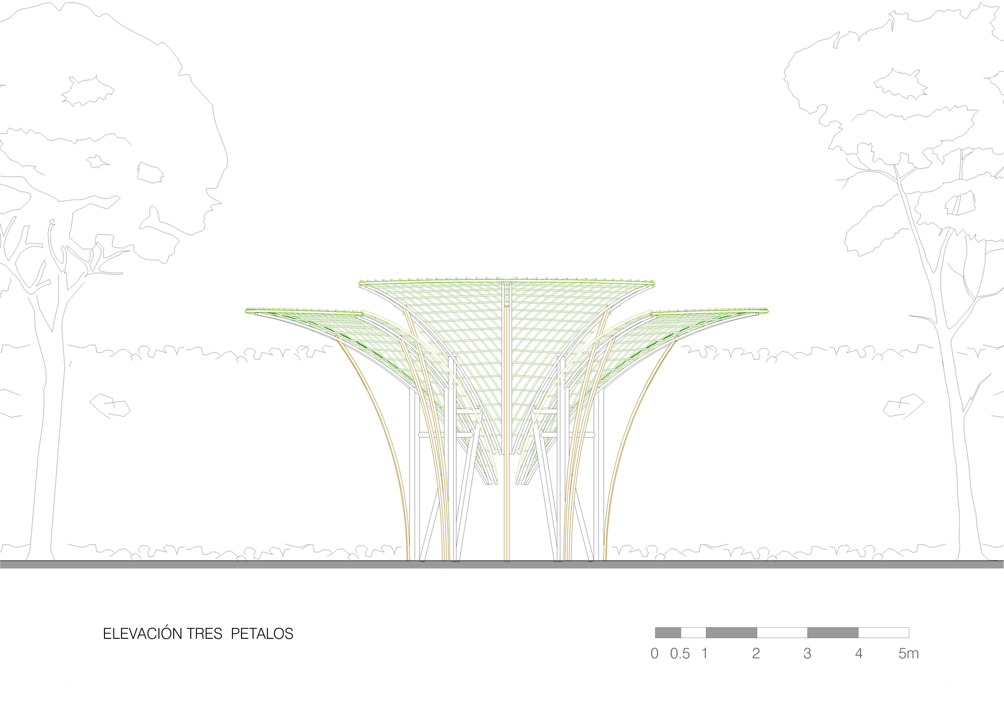 Elevation drawing of a three-petal canopy with splayed curved columns and a green lattice roof beside outlined trees